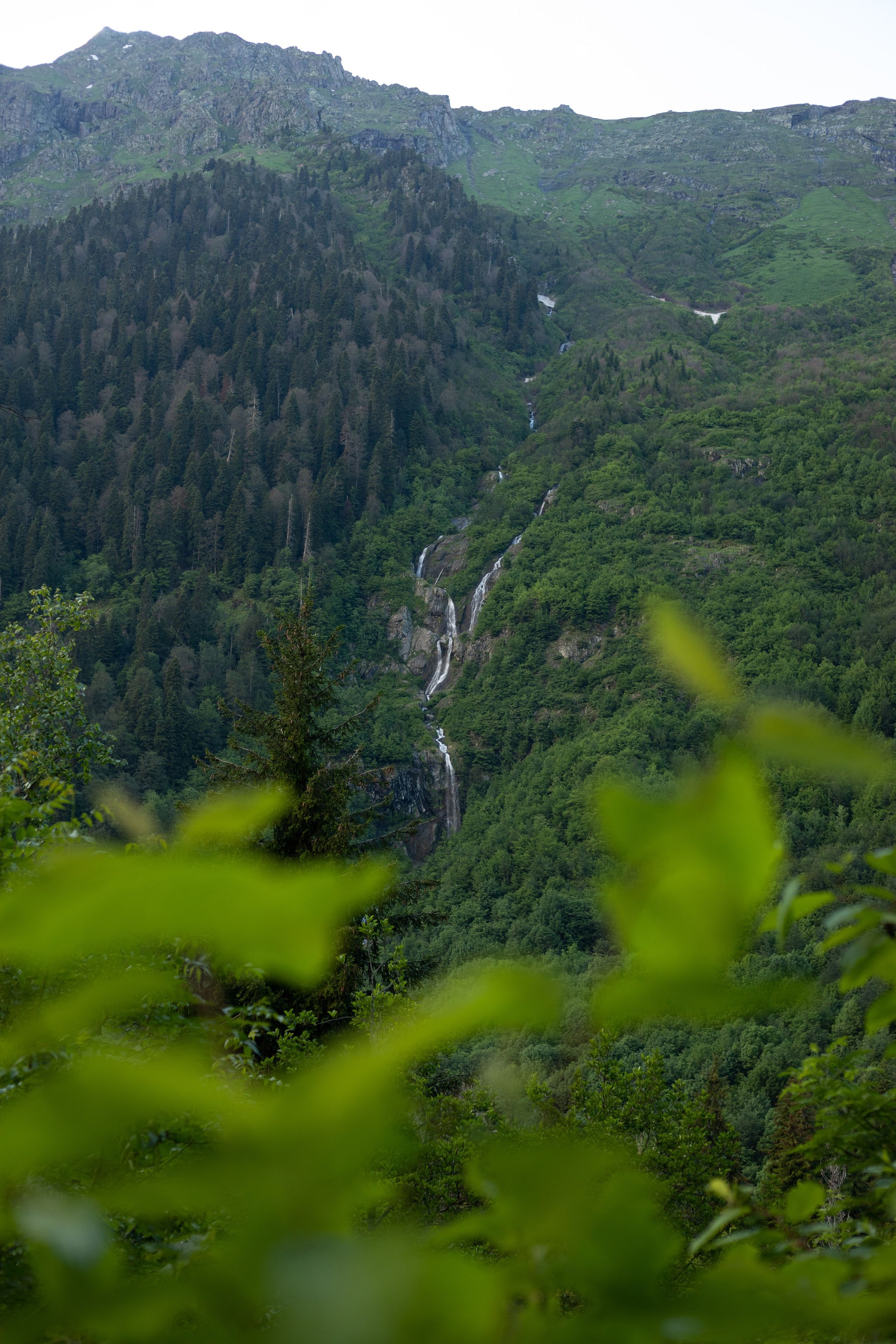 АБХАЗИЯ. Фотограф Севастополь/Крым Светлана Евтушенко