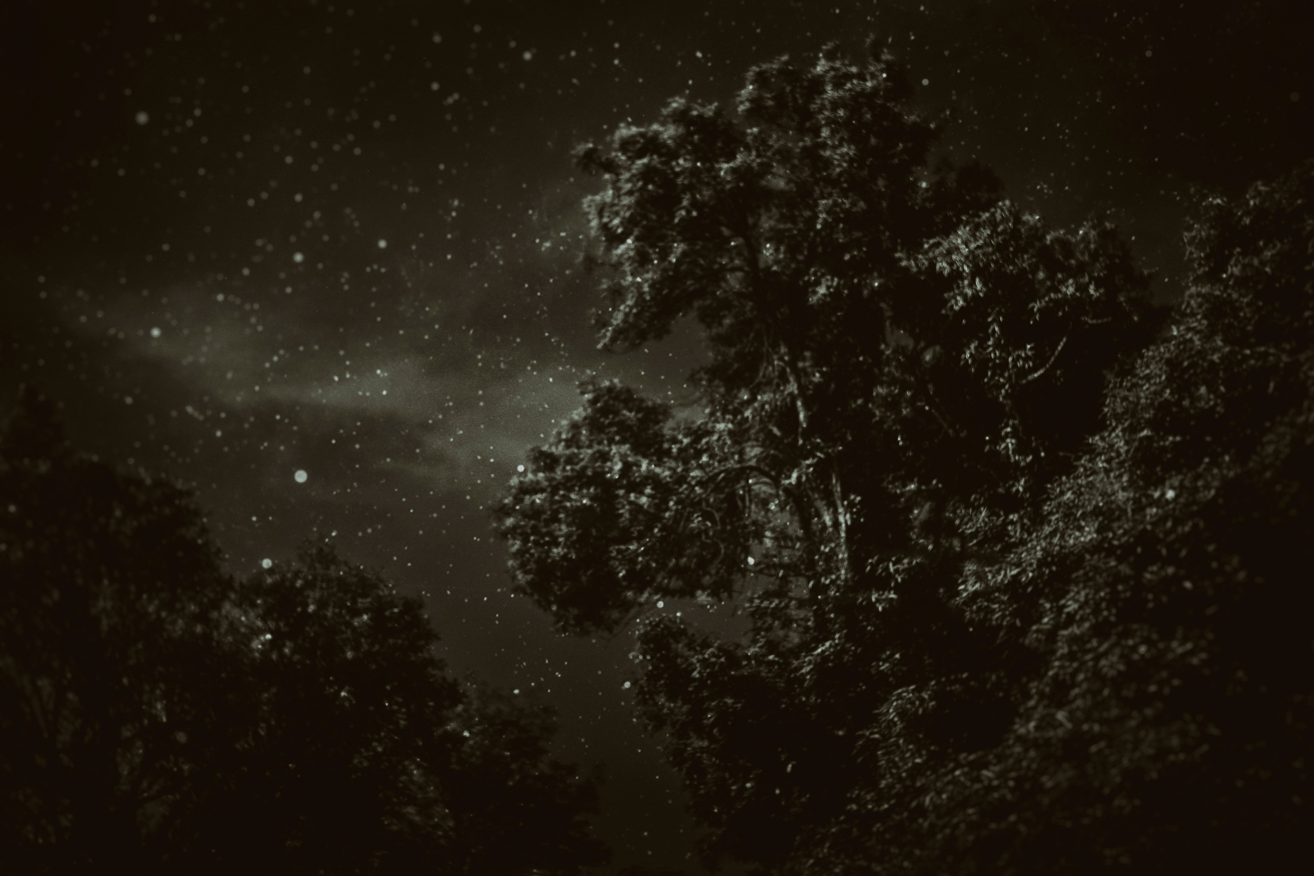 Homeland Adygea. Visual artist