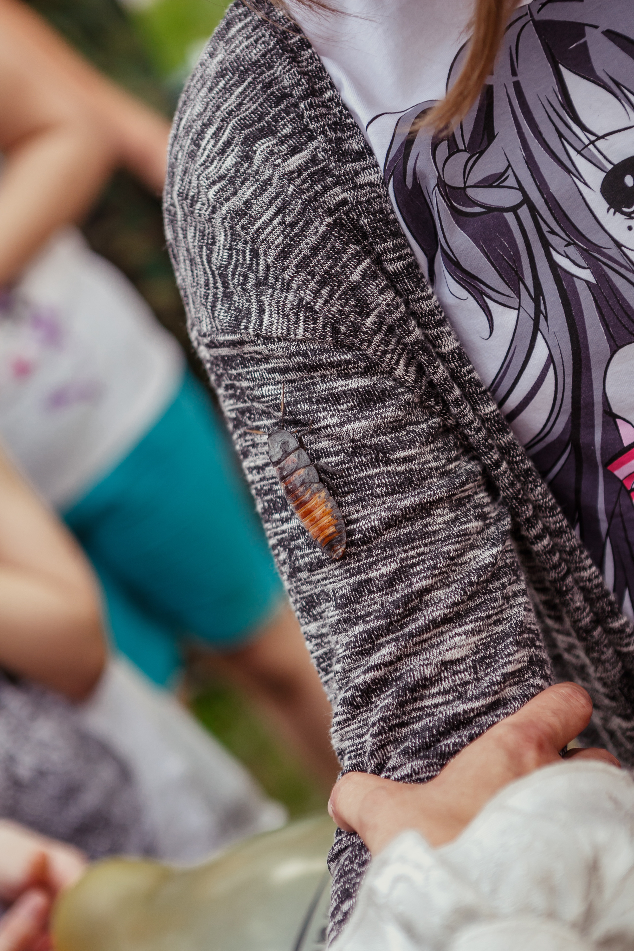 Репортаж. Выпуск в школе