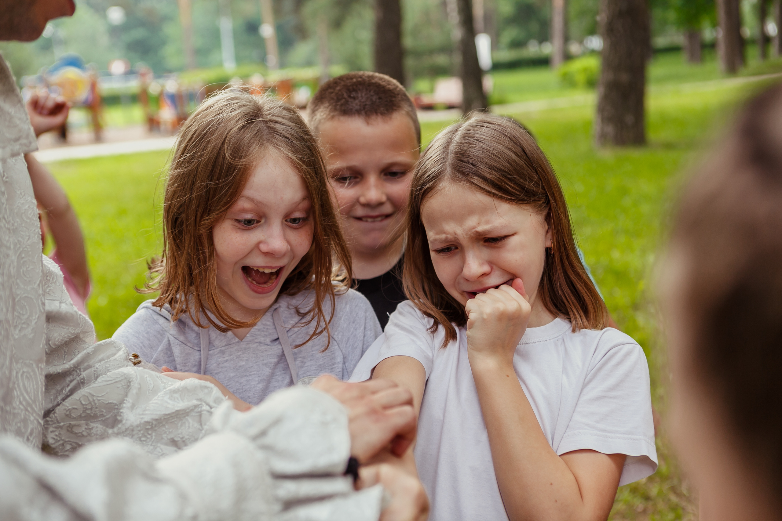 Репортаж. Выпуск в школе