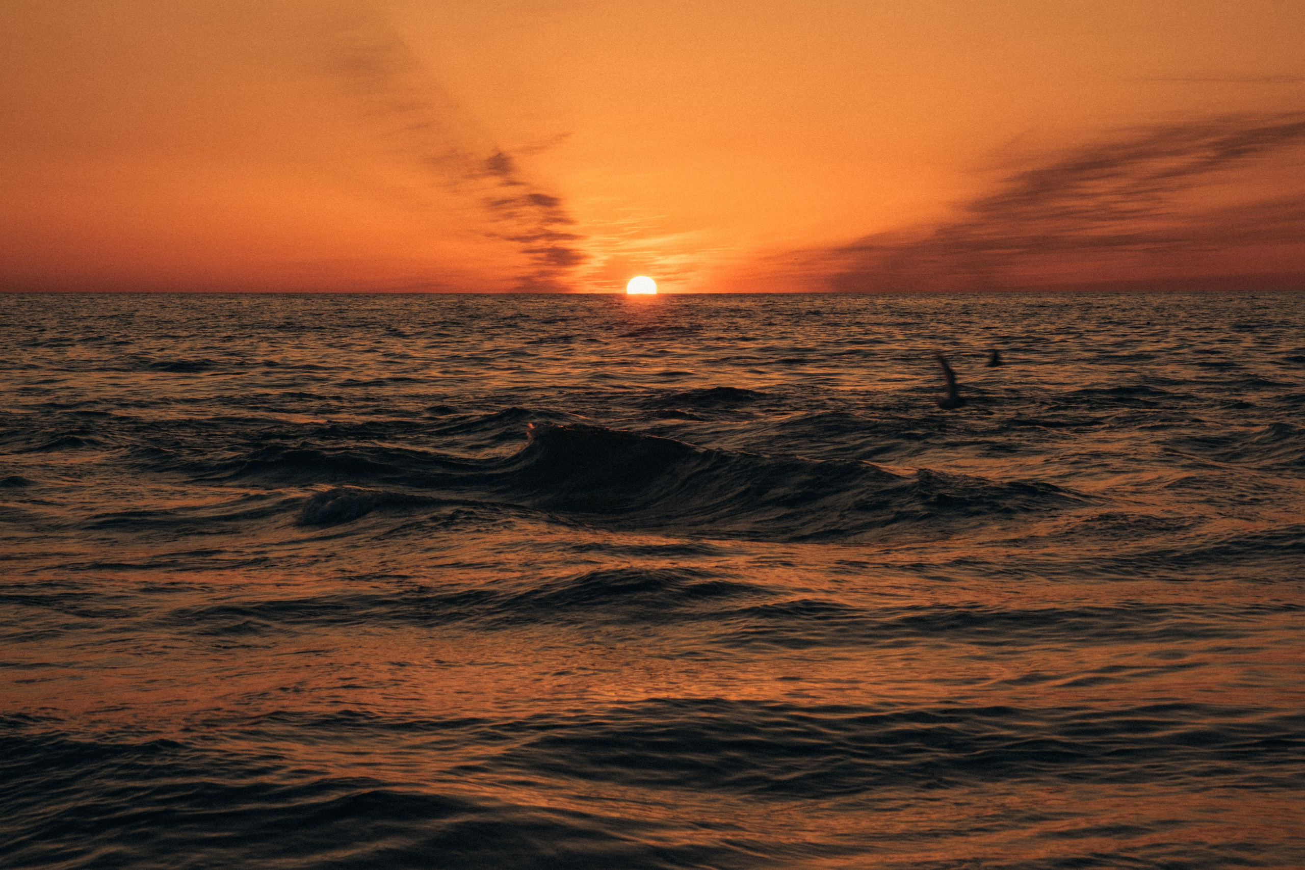 Миро. Свадебный Видеограф Фотограф в Сочи