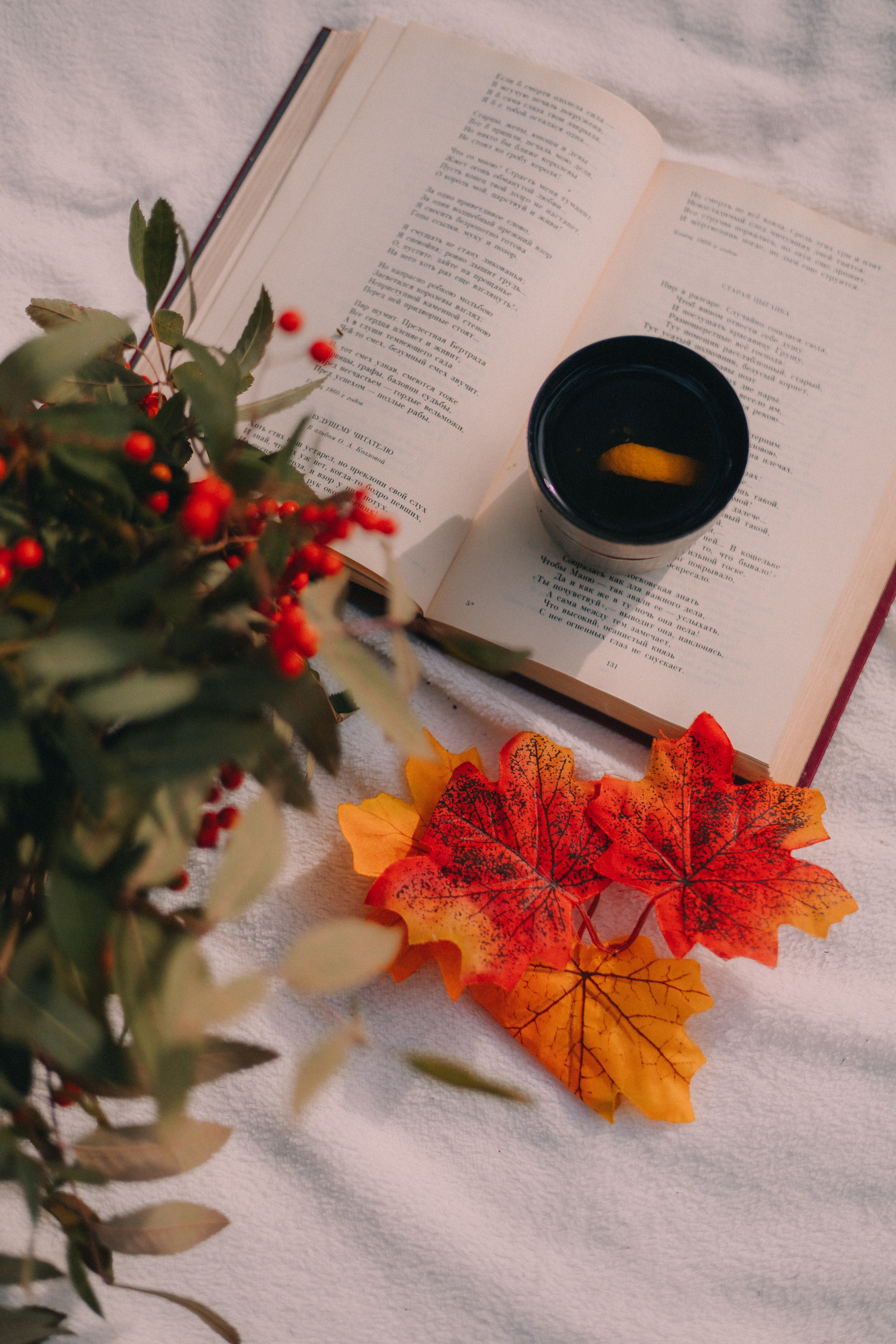 Детский семейный фотограф. Детский и семейный фотограф  Биробиджан Оля Светагор