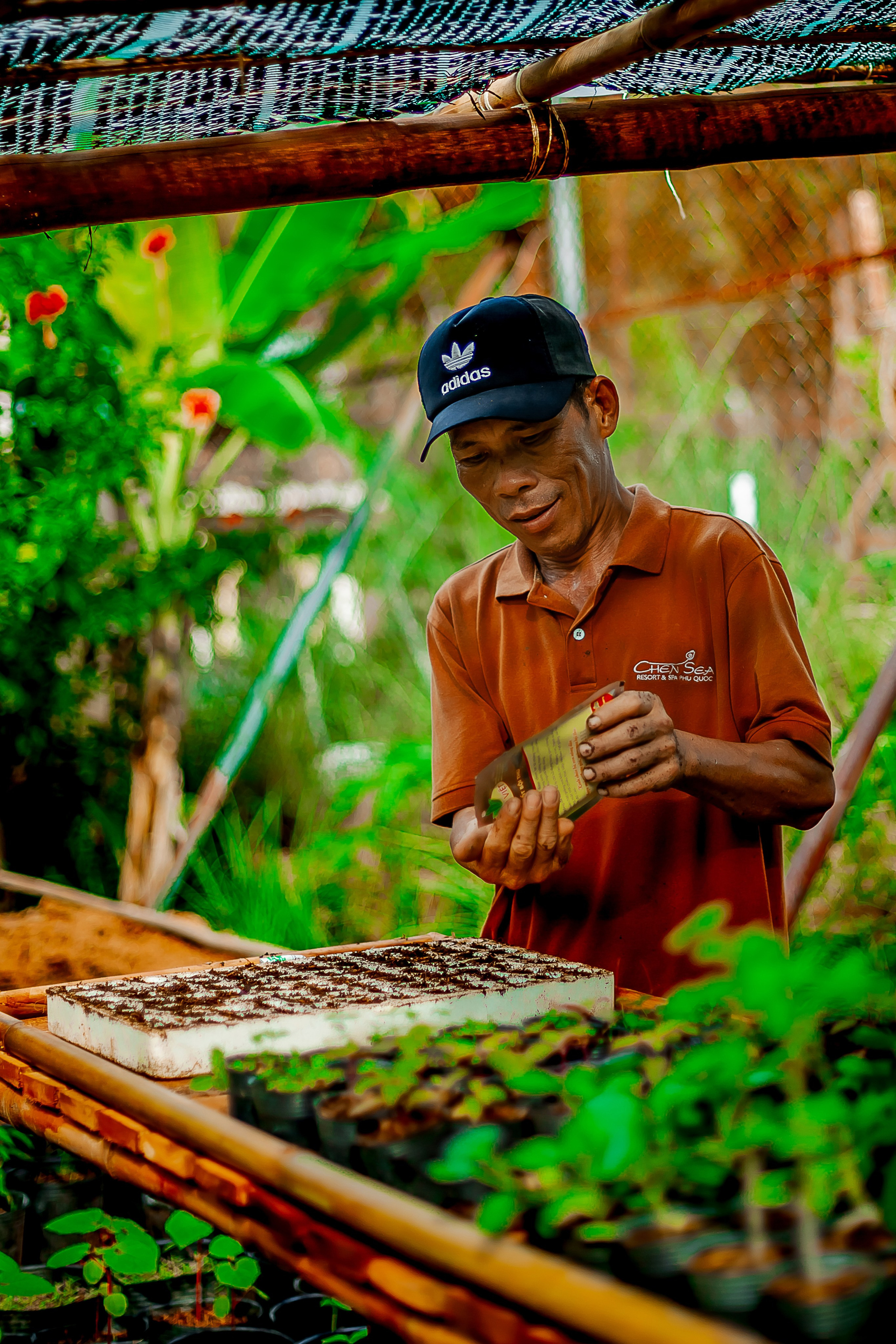 Репортажный фотограф Ялта. Репортажный фотограф Ялта