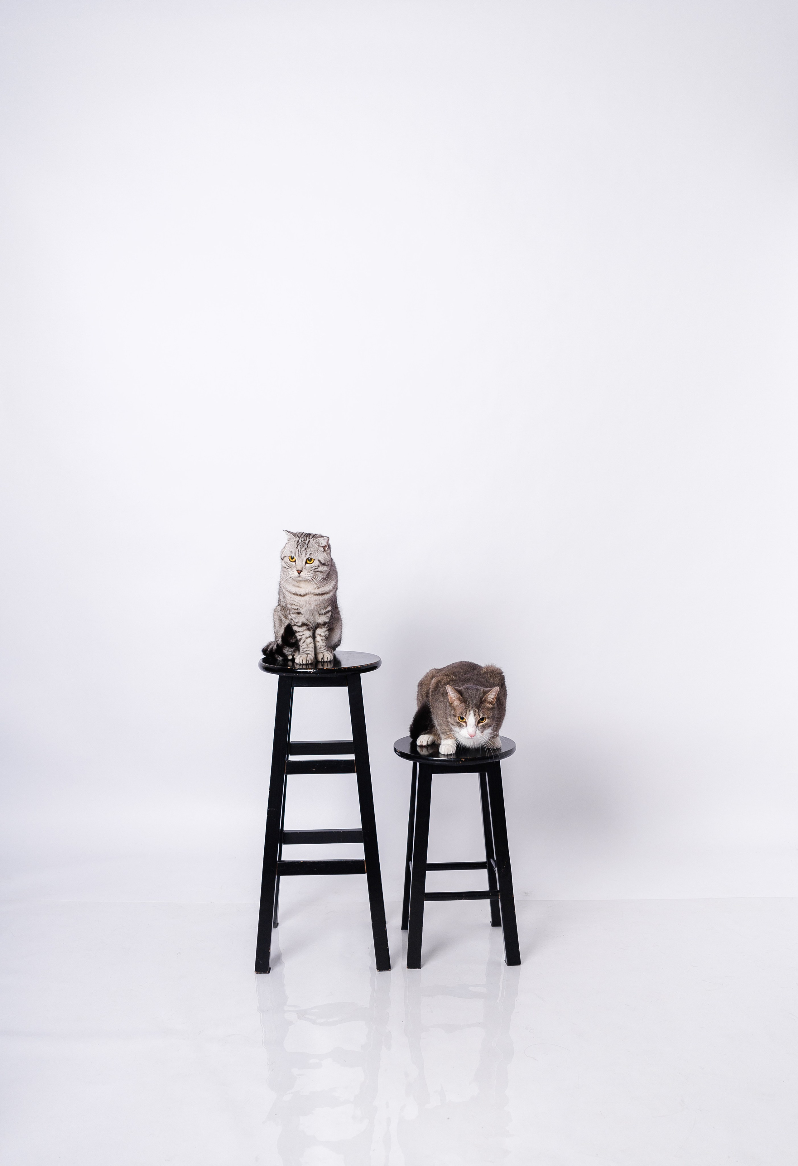 Портфолио. Услуги