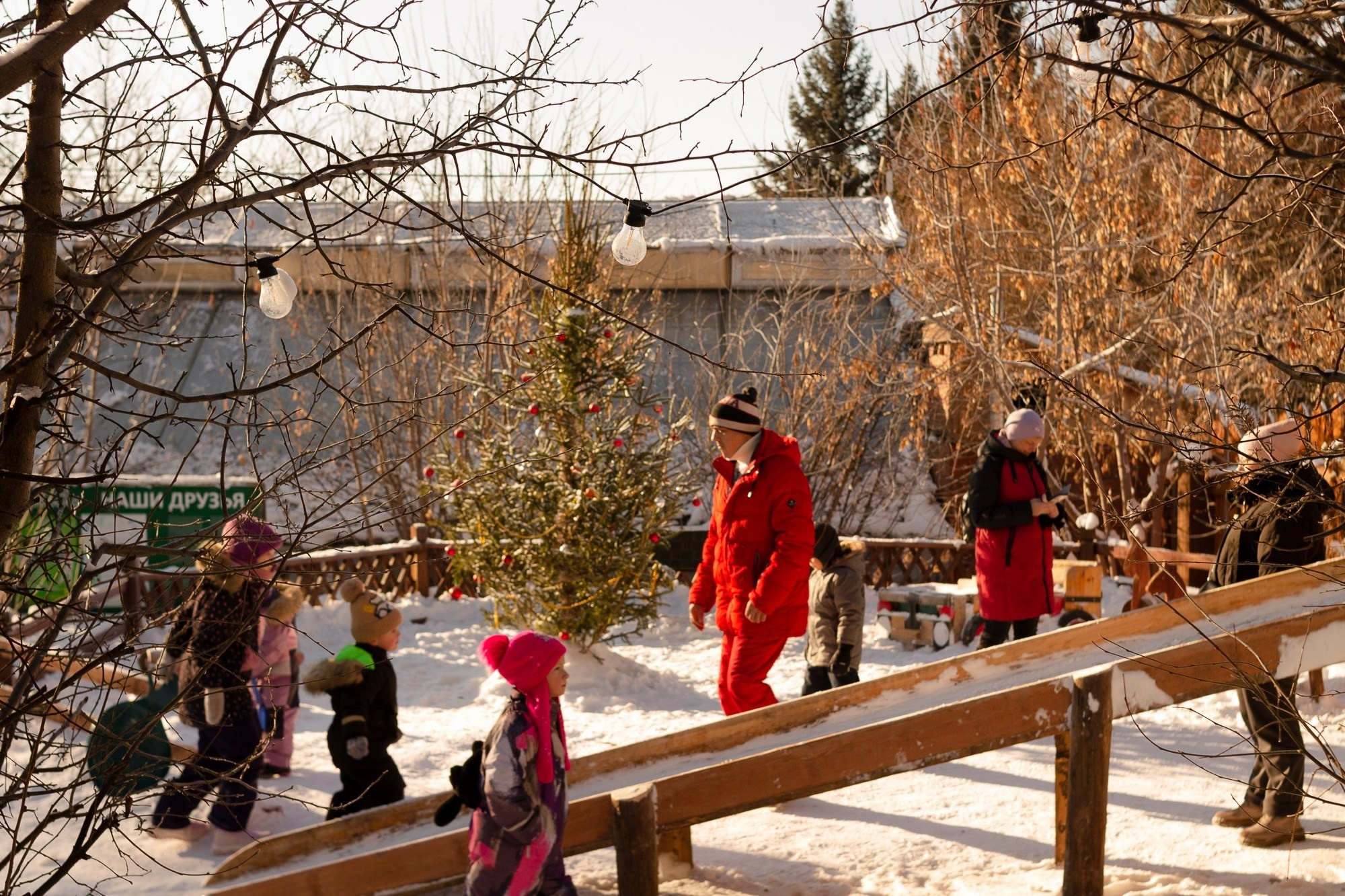 Новогодний праздник в Иркутском Зоосаде. Борщевская Елизавета / фотограф Иркутск