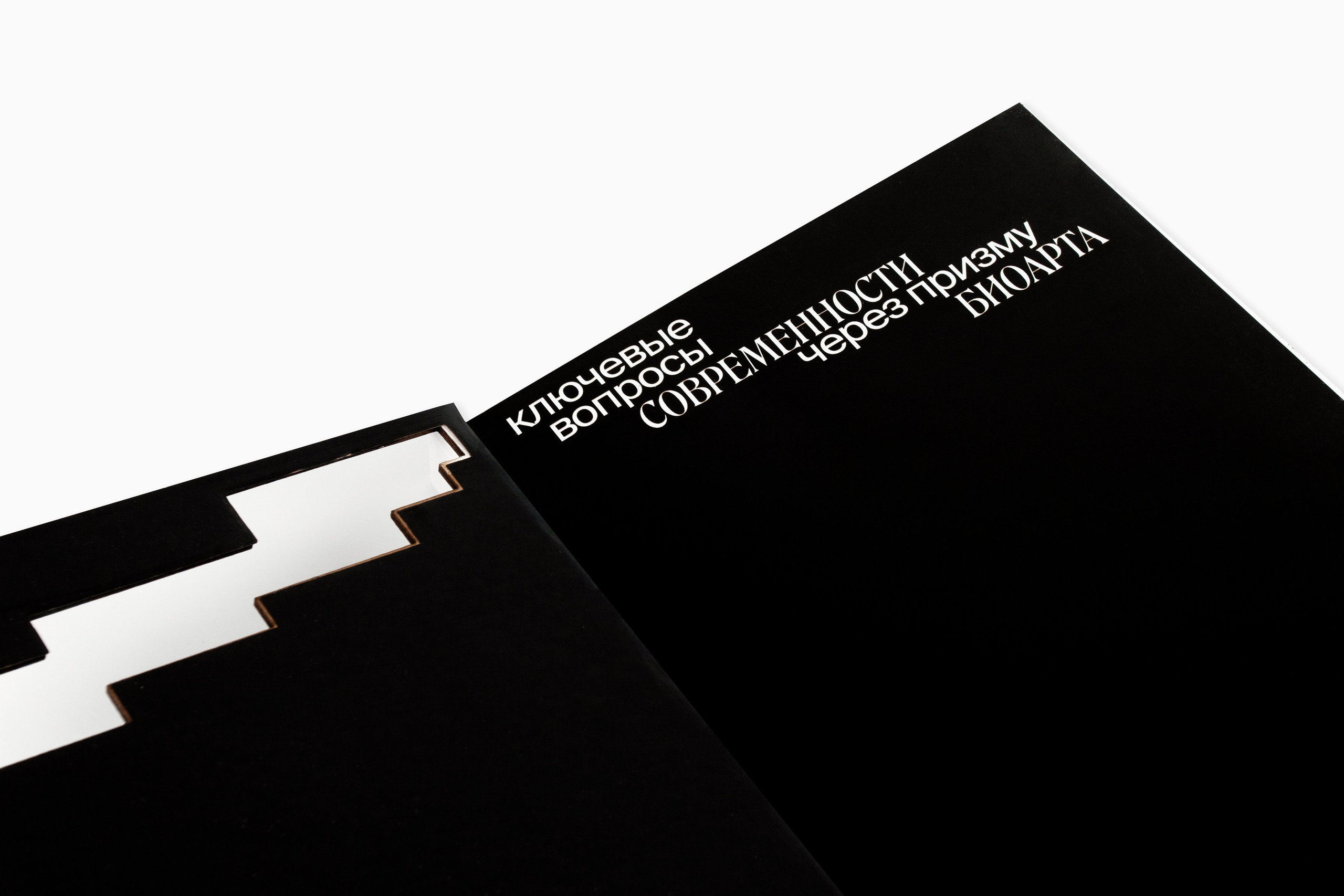 Книга. Фотограф Злата Спицына