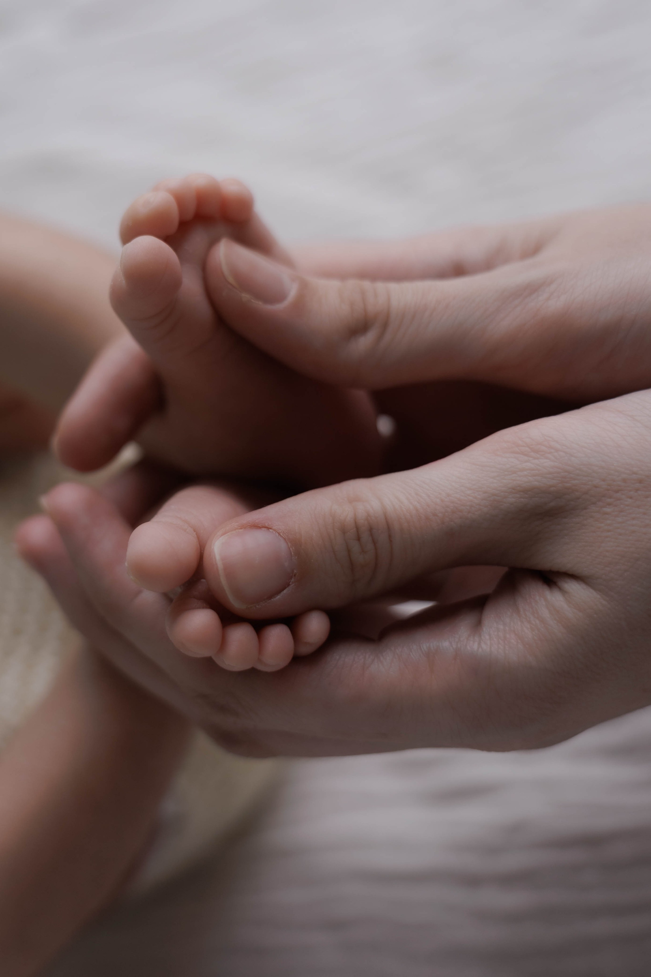 Newborn. Семейный и детский фотограф в Санкт-Петербурге, Мурино, Всеволожске Тропина Анна