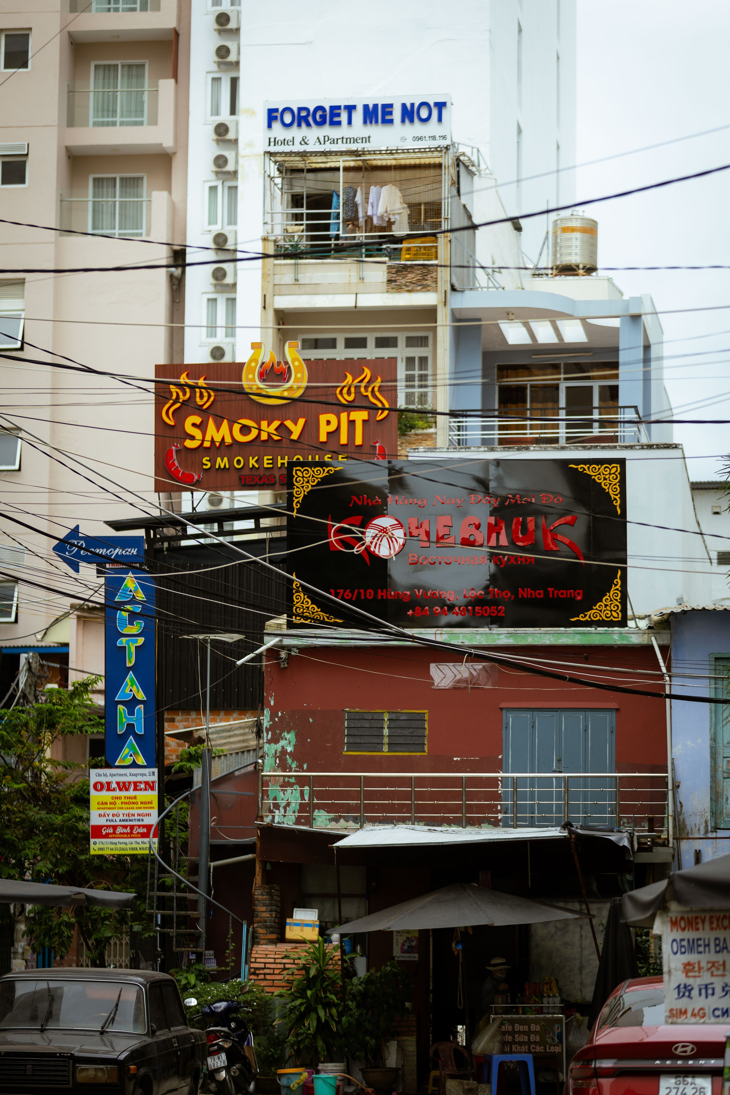 Вьетнам (зима 2025-2026). Фотограф Виноградов Константин