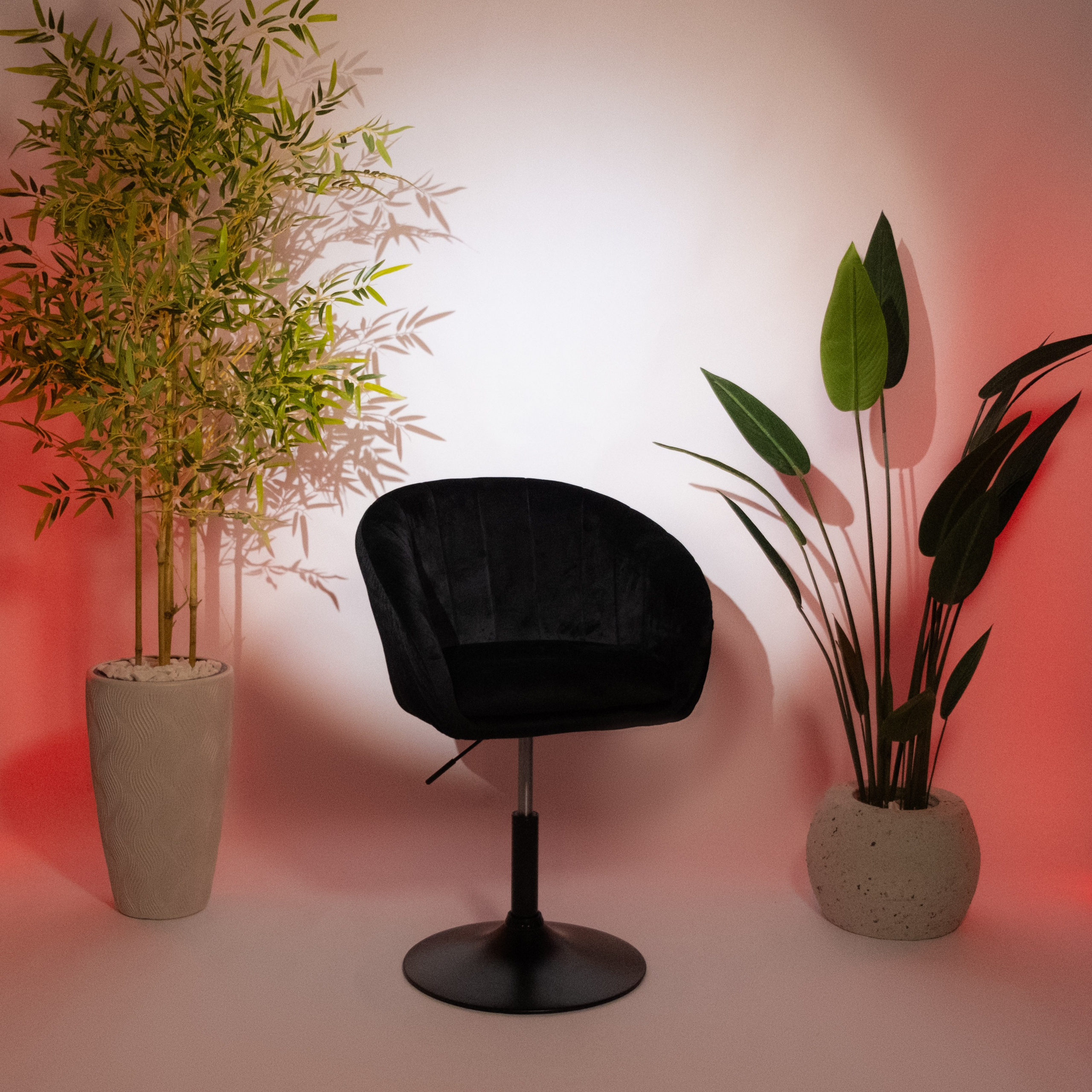 Студия. Фотограф Коробова Екатерина