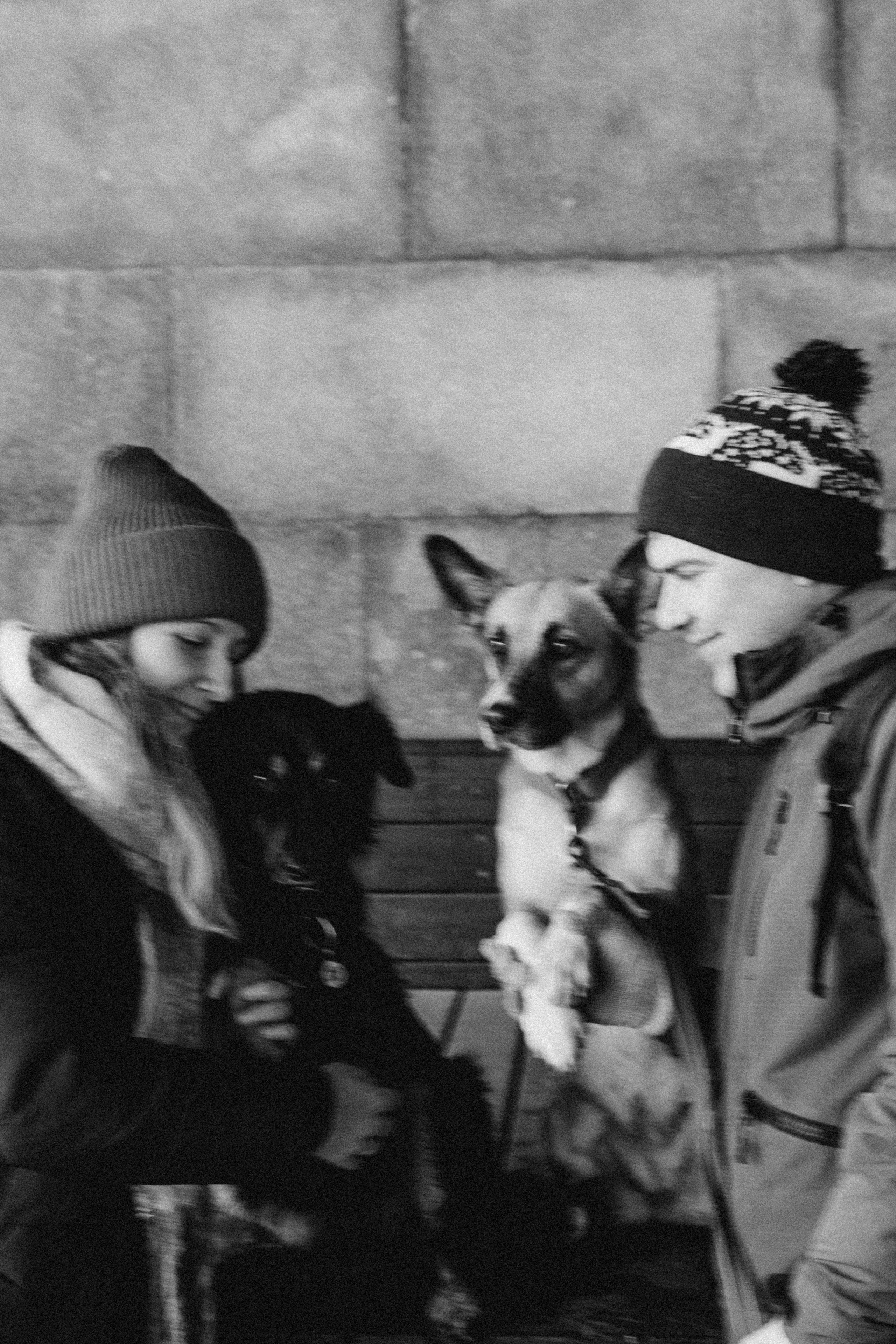 Саша, Ксюша и их банда. Фотораф — анималист Мария Шистка