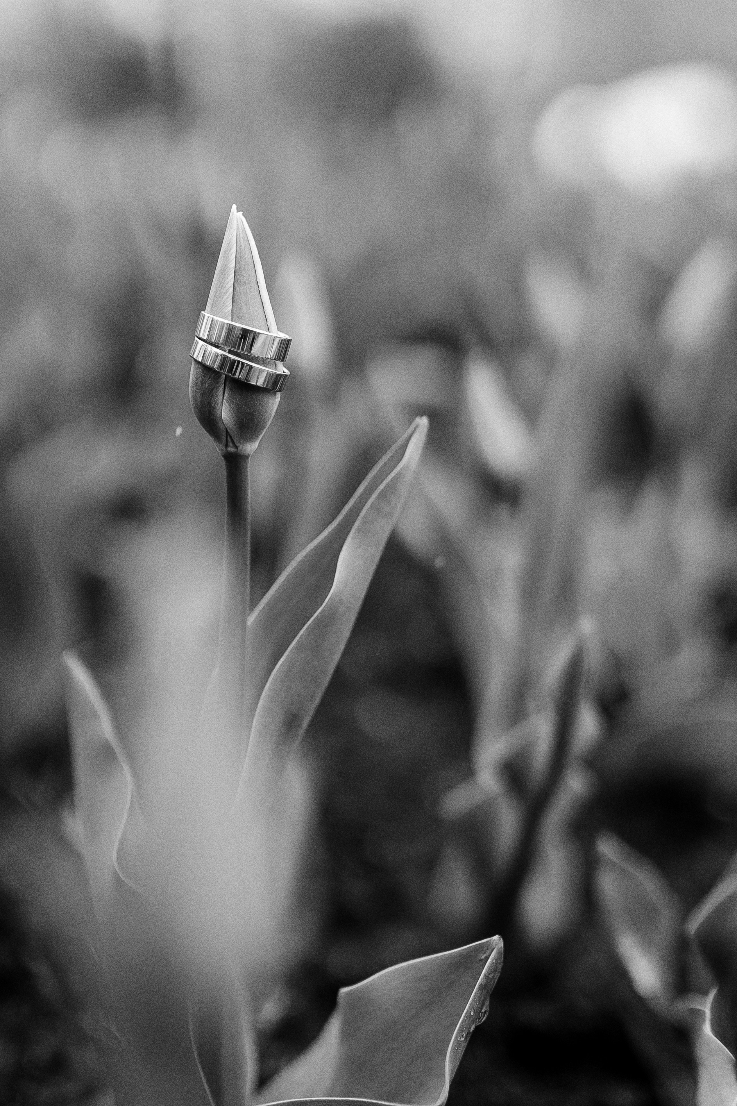 Свадебный и семейный фотограф в Белгороде Юлия Першина