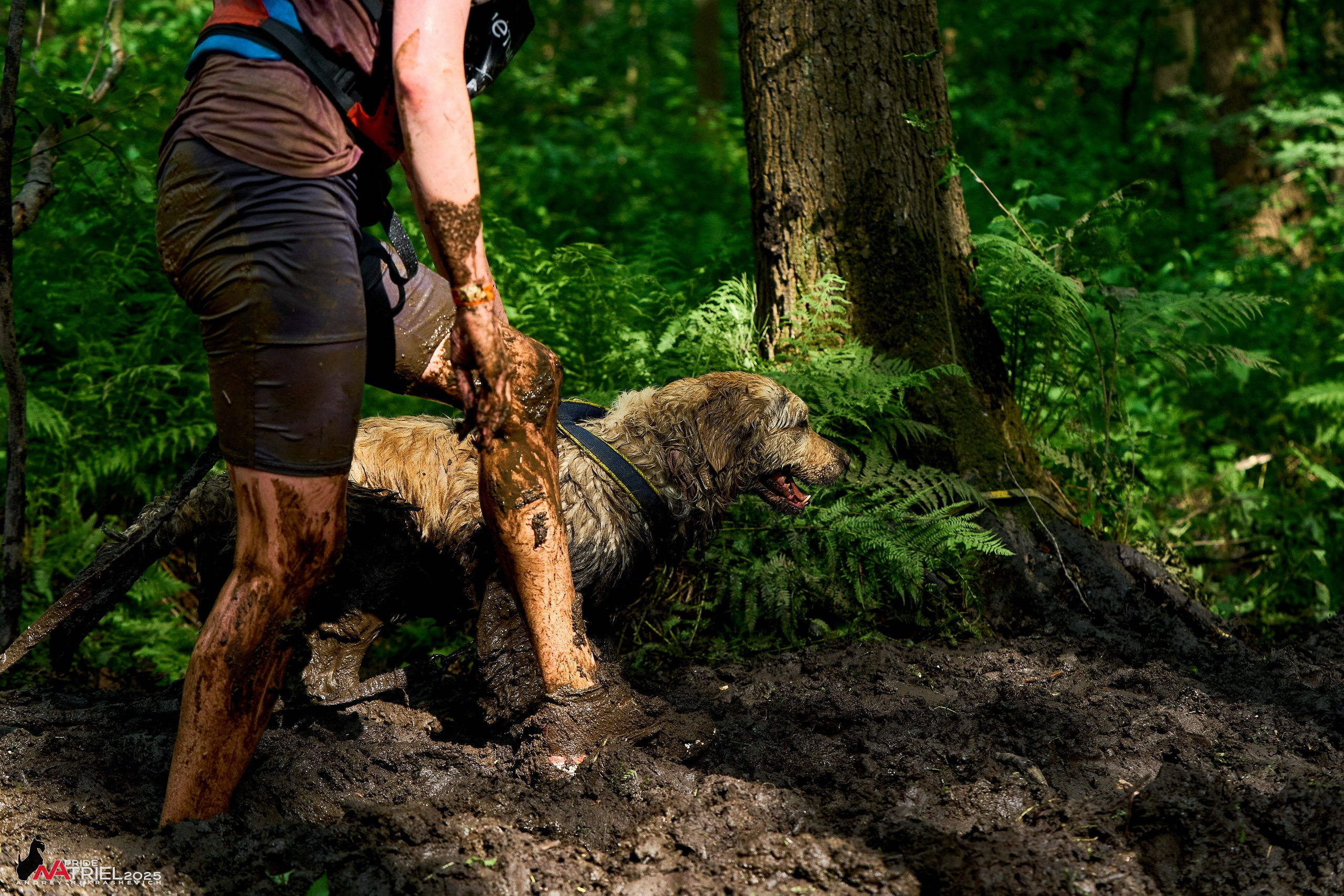 Russian Extreme Dog Trail — 2025
