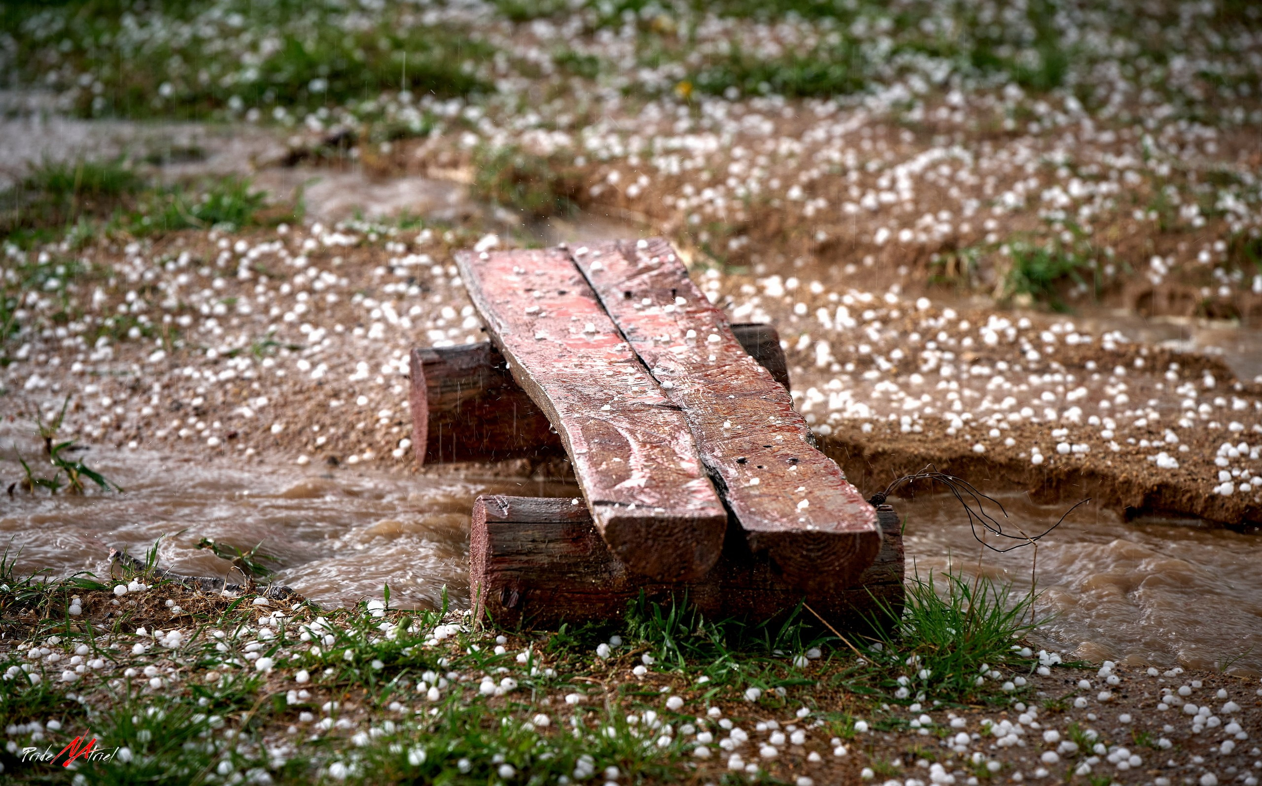 Огонь, Ветер, Вода, Земля — галерея NATRIEL