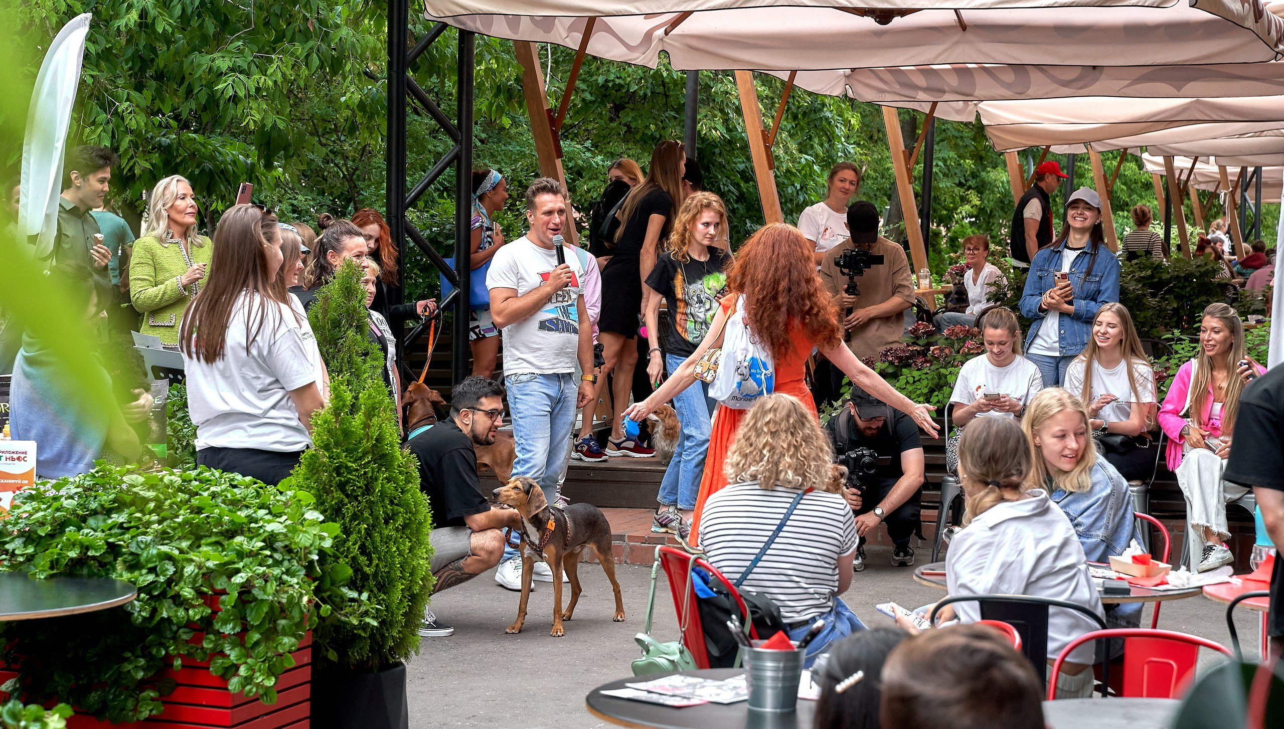 Мероприятия с собаками — галерея NATRIEL