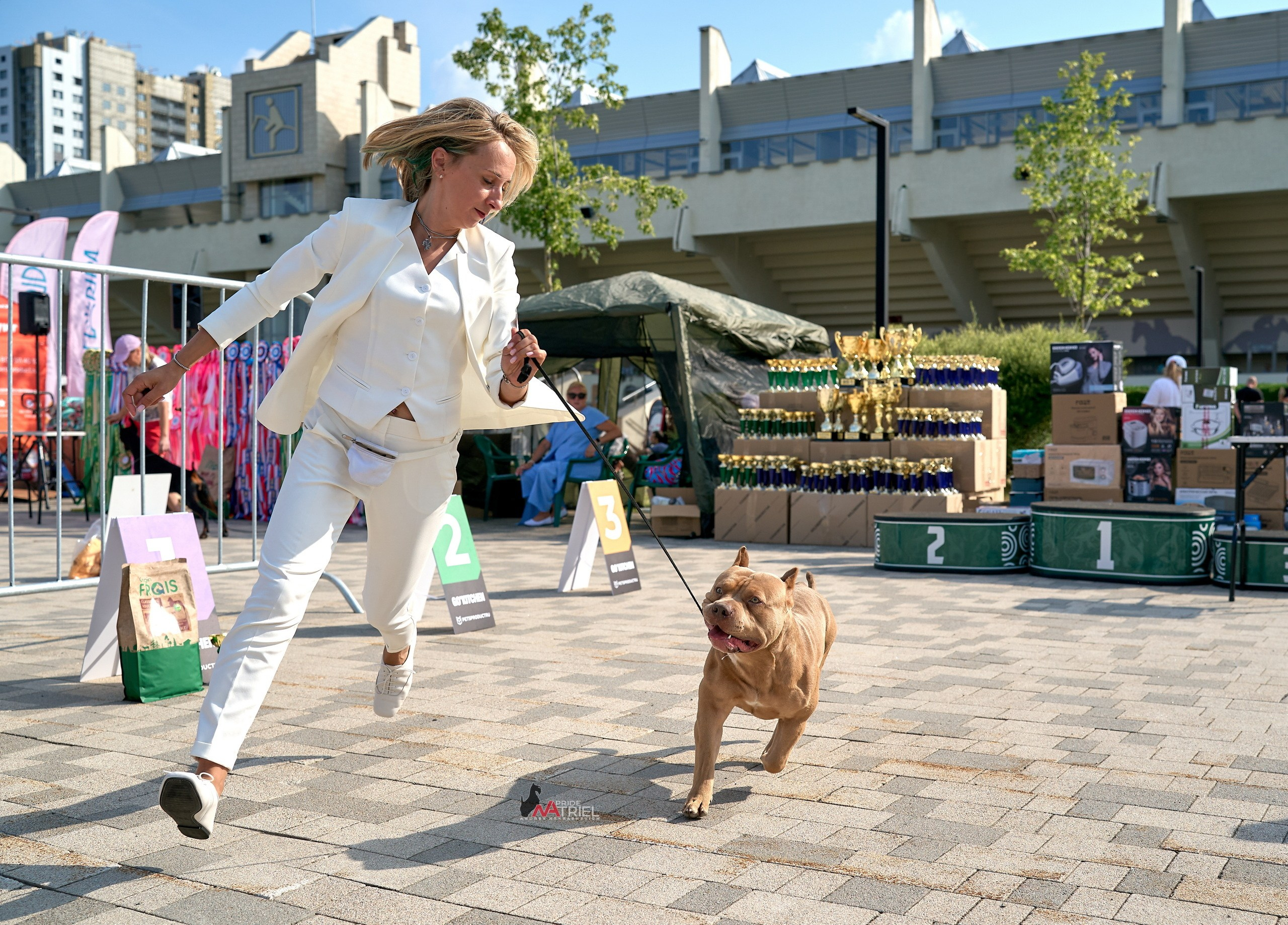 Работа в рингах — галерея NATRIEL