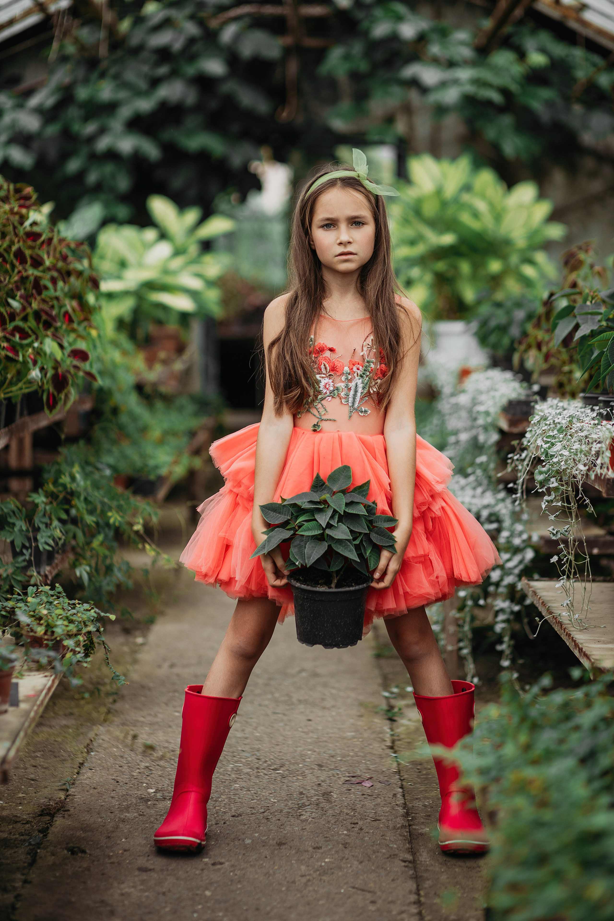 Теплица мацеста. Фотограф Сочи Татьяна Зорина