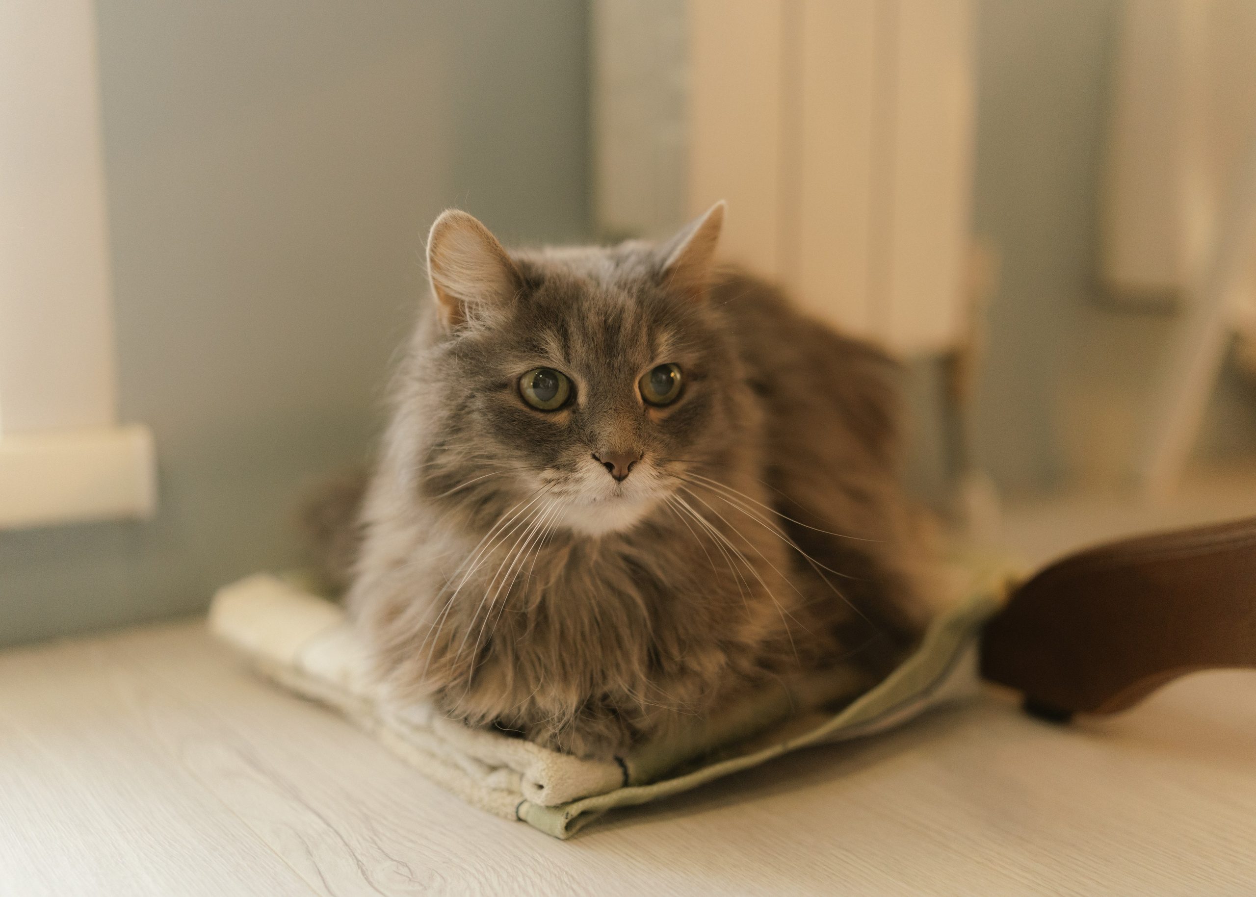 Катя и Андрей | домашняя. Фотограф в Новосибирске Диана Ильиных