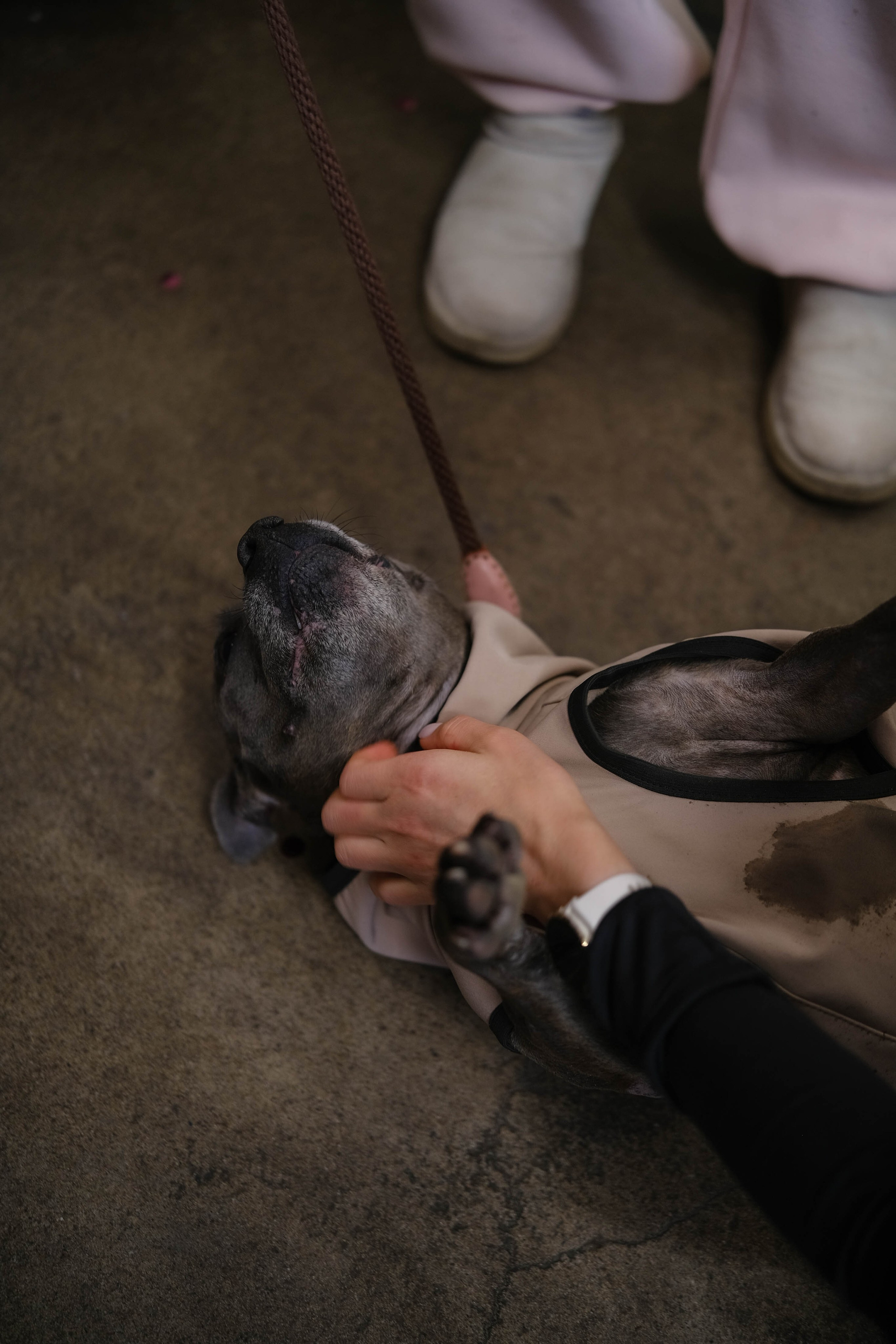 Девичник «Бегущая Невеста». Портретные и творческие съемки Санкт-Петребург