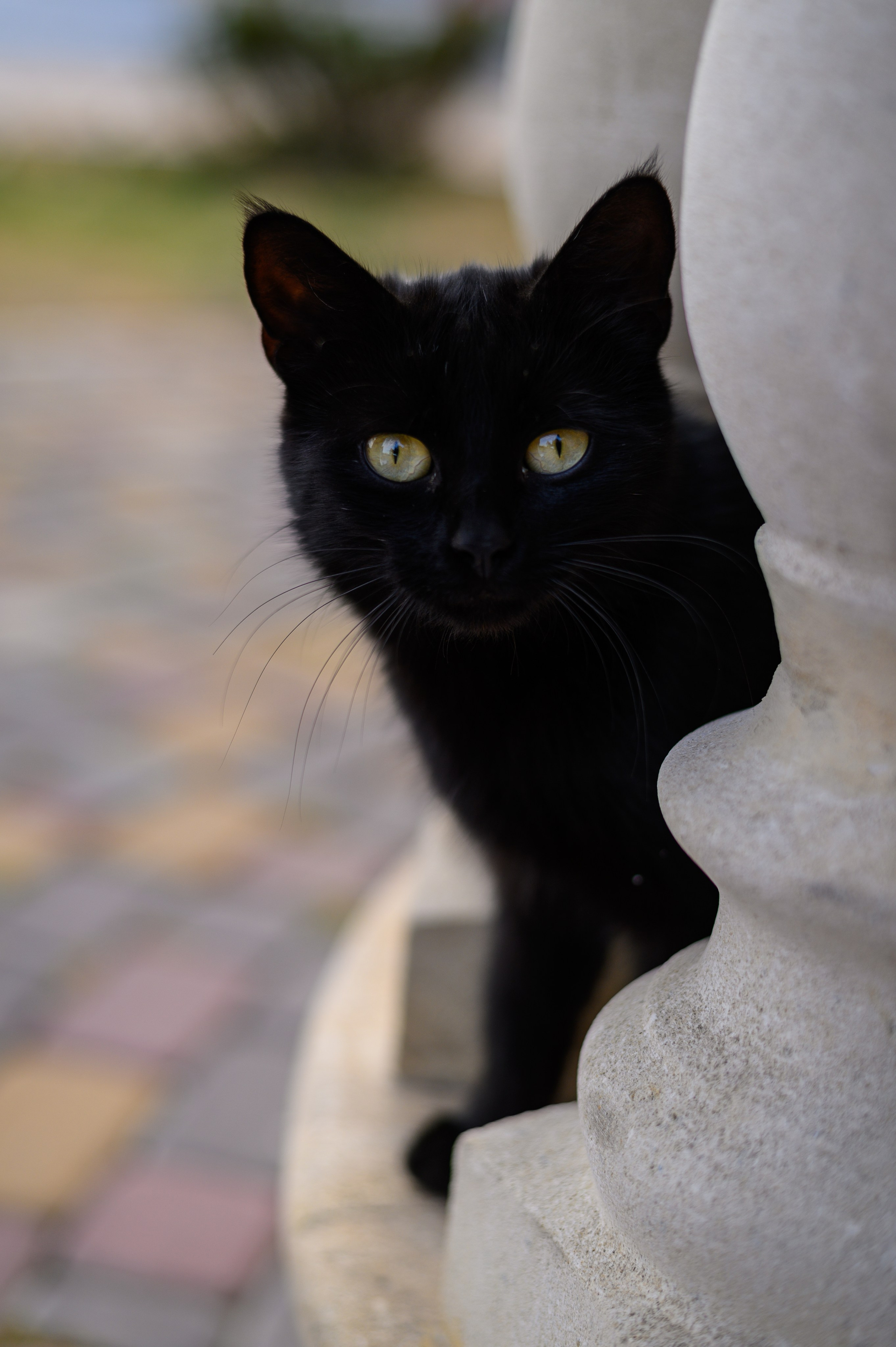 Игорь & Елизавета. Анонс. Свадебный и семейный фотограф в Миллерово и Ростове Алёна Черепенина