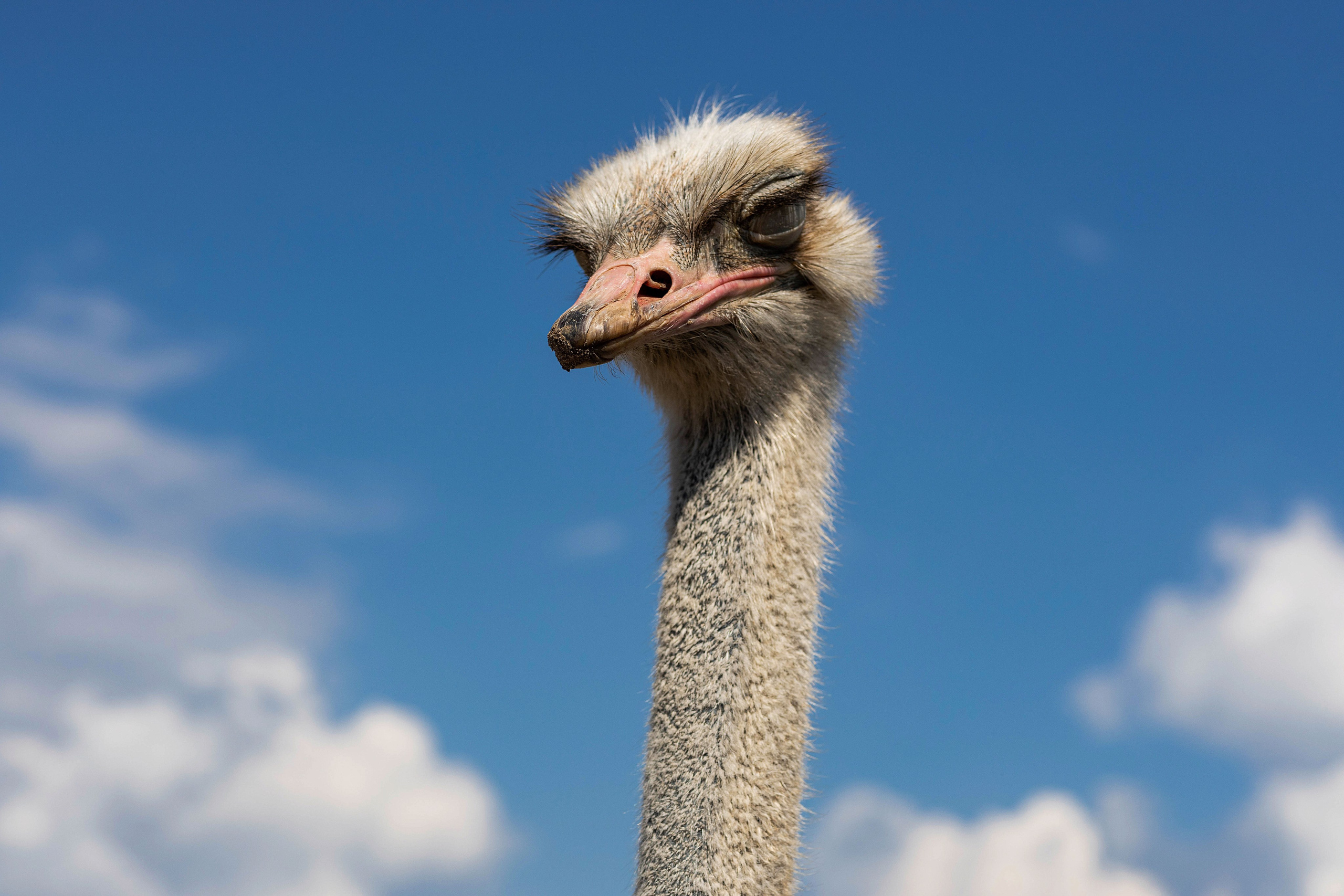 Фотосессия с Леной в Моргаушском районе. Портретный и репортажный фотограф в Чебоксарах Андриян Чаркин