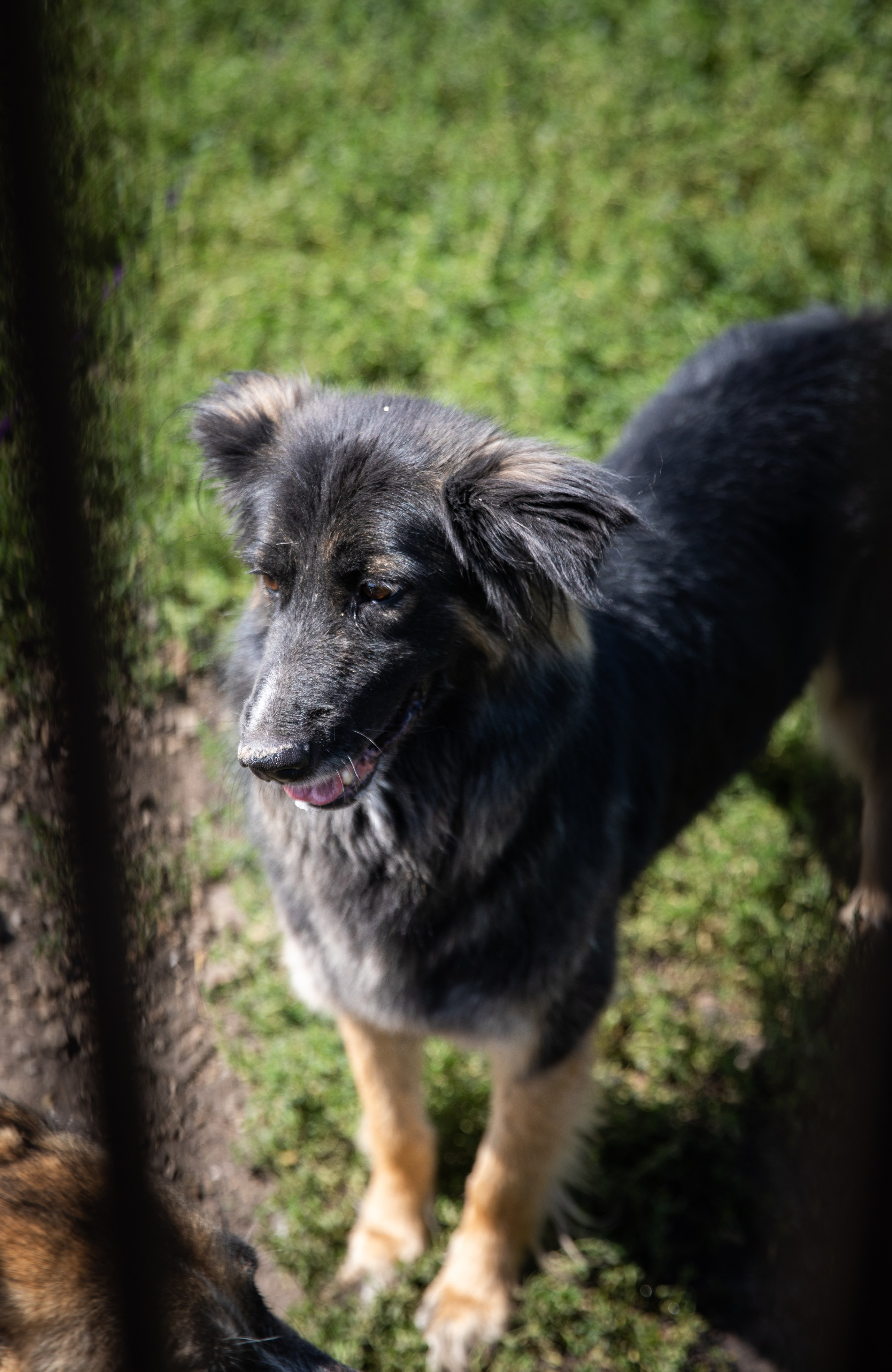 Приют — Наш дом. Репортажный и свадебный фотограф в Челябинске Елисеев Павел