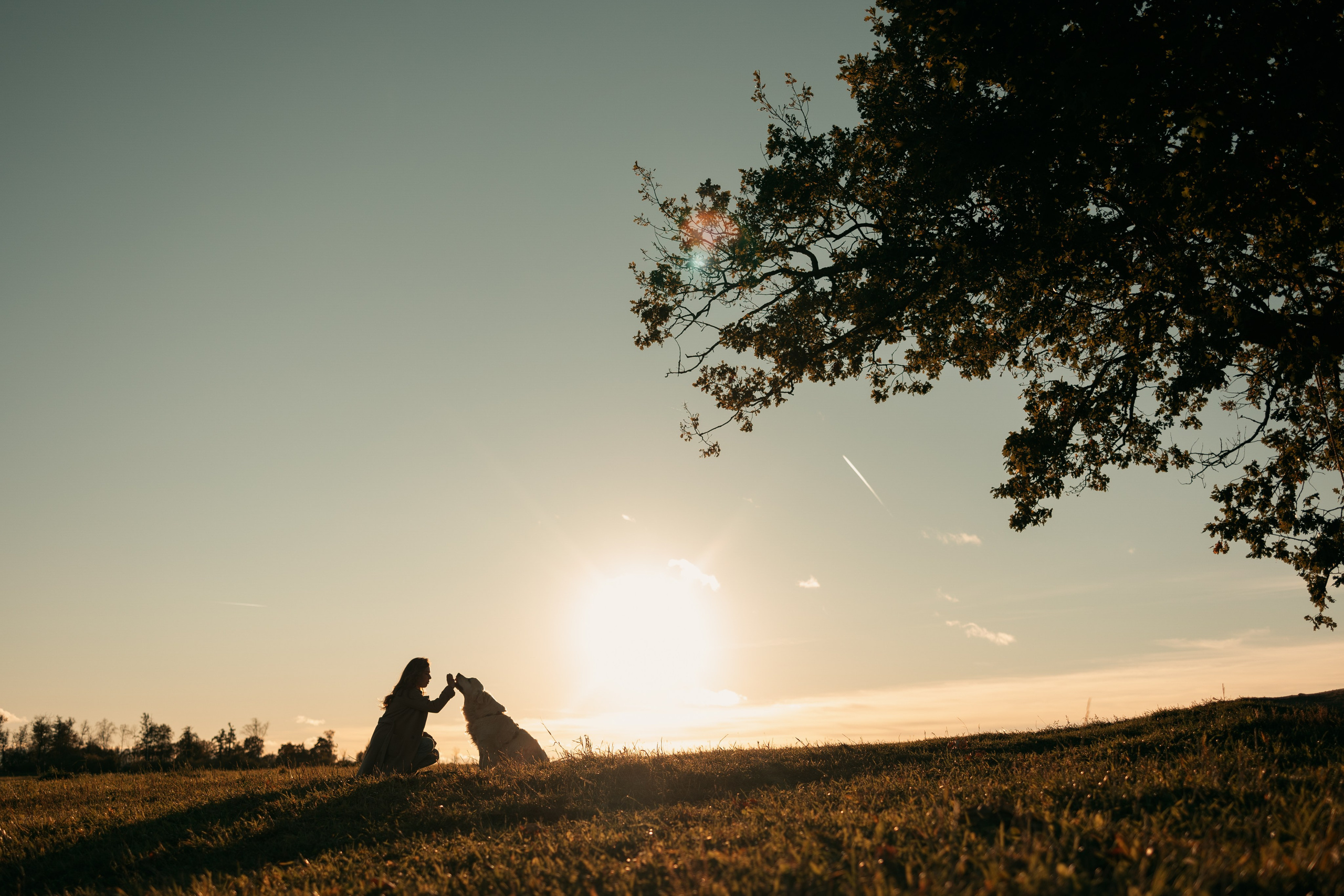 Лера и Скай. Фотограф — Анималист | Санкт-Петербург
