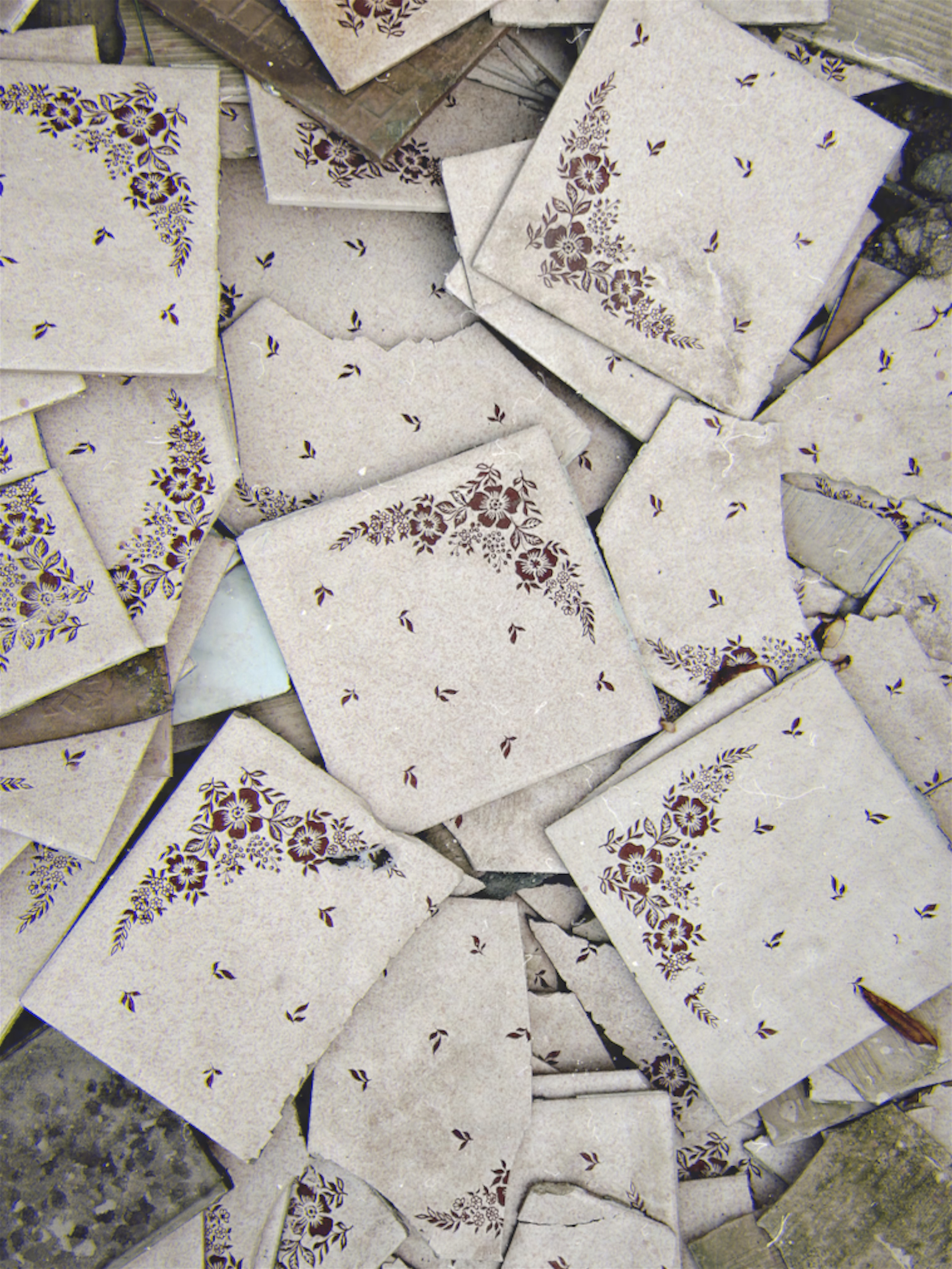 Огородная эстетика. Чувственный мобильный фотограф в Казани и Сочи Дьяченко Дарья