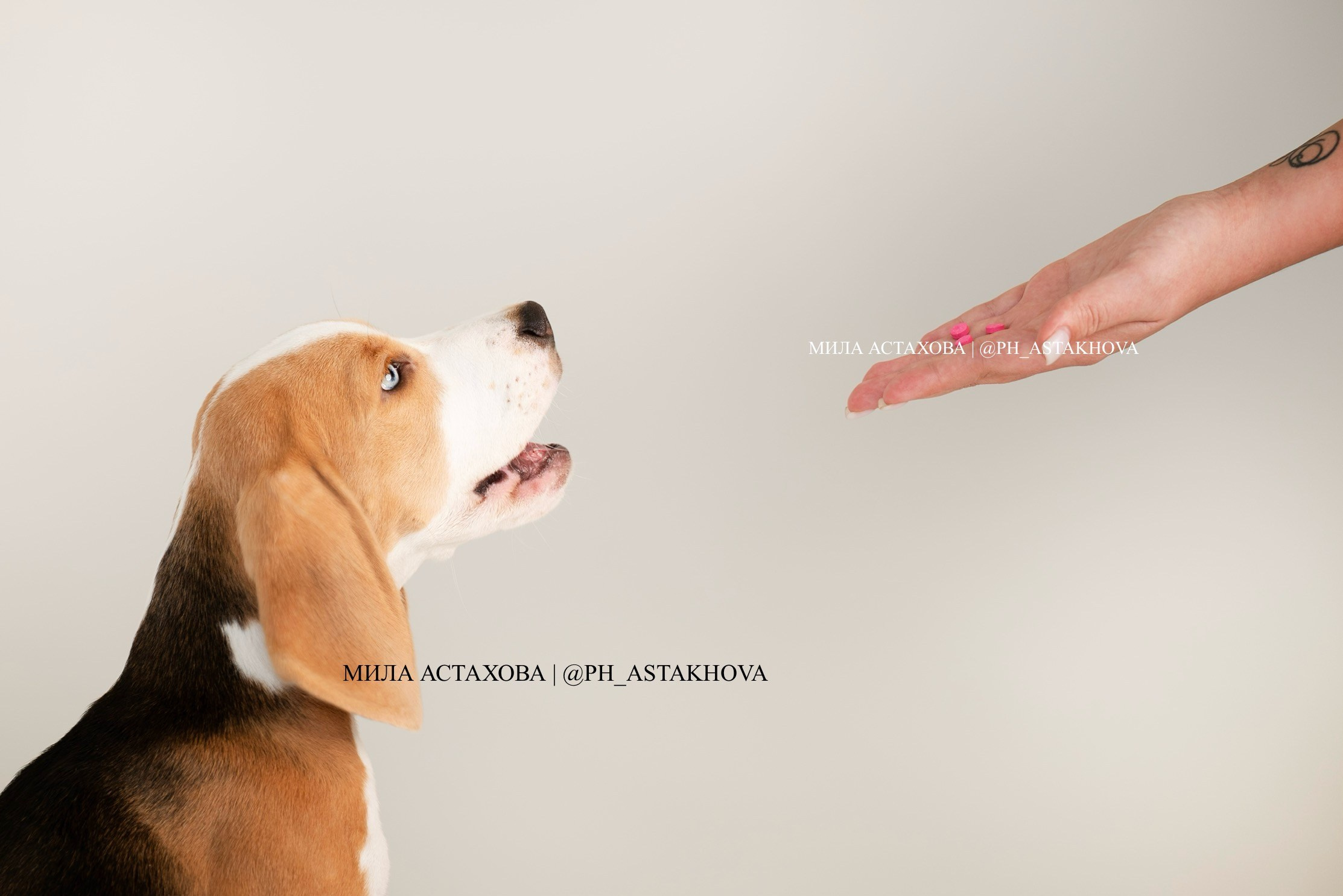 Nita-Farm. Мила Астахова