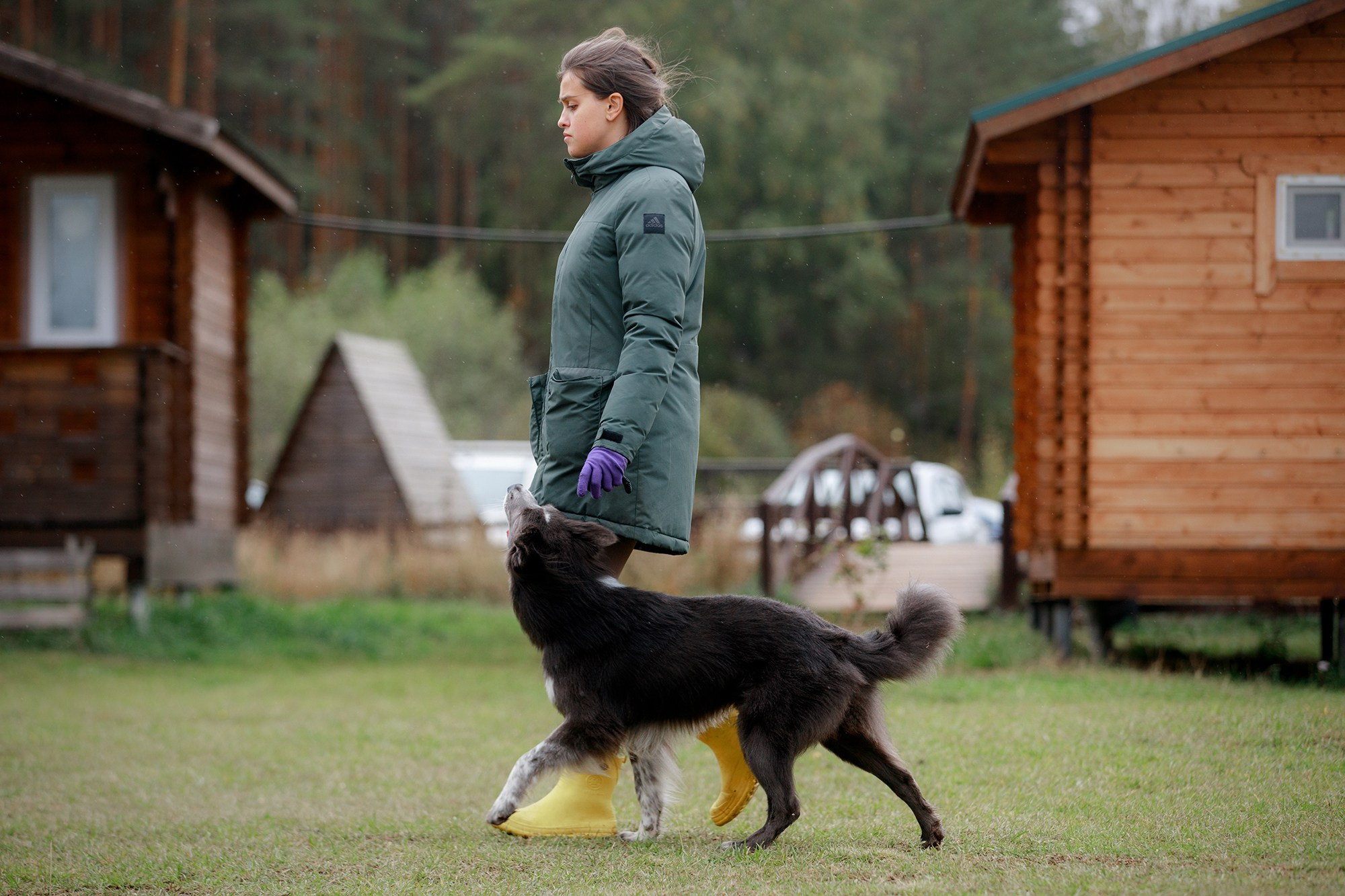 Лагерь по ОБД с Инной Баженовой. Фотограф-анималист Mary Mart — Москва, Питер