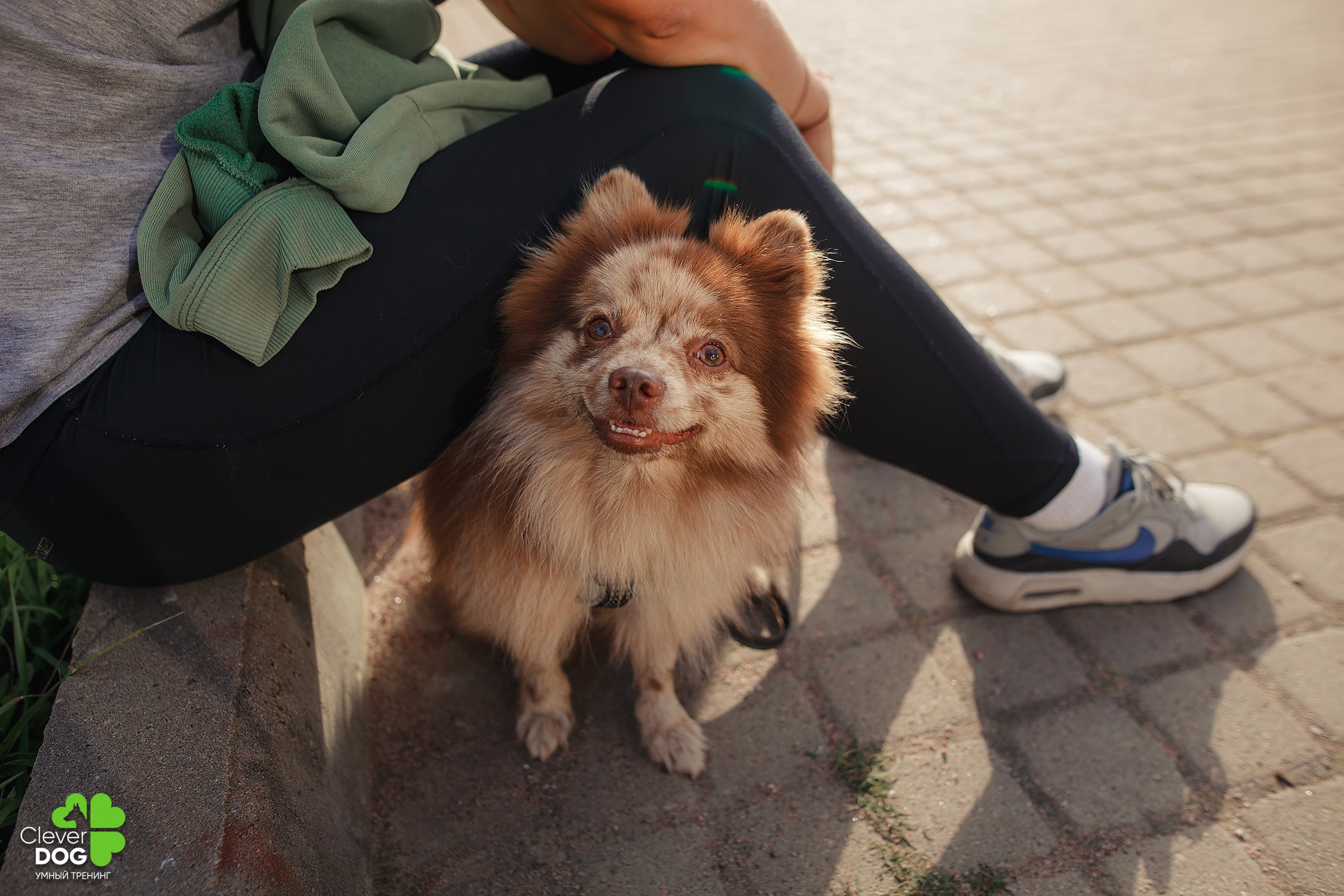 Кинологический лагерь CleverDog, 2024. Фотограф-анималист Mary Mart — Москва, Питер