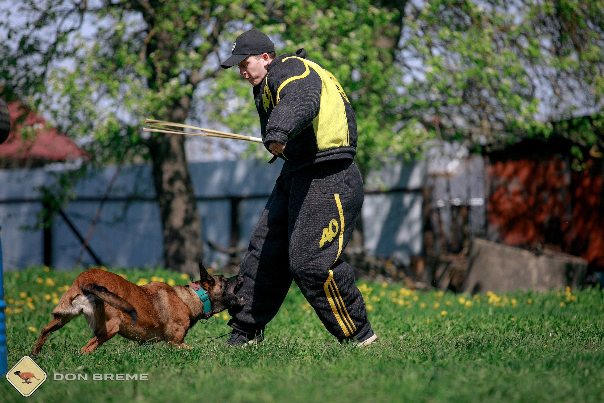 Семинар для фигурантов, день 4. Фотограф-анималист Mary Mart — Москва, Питер