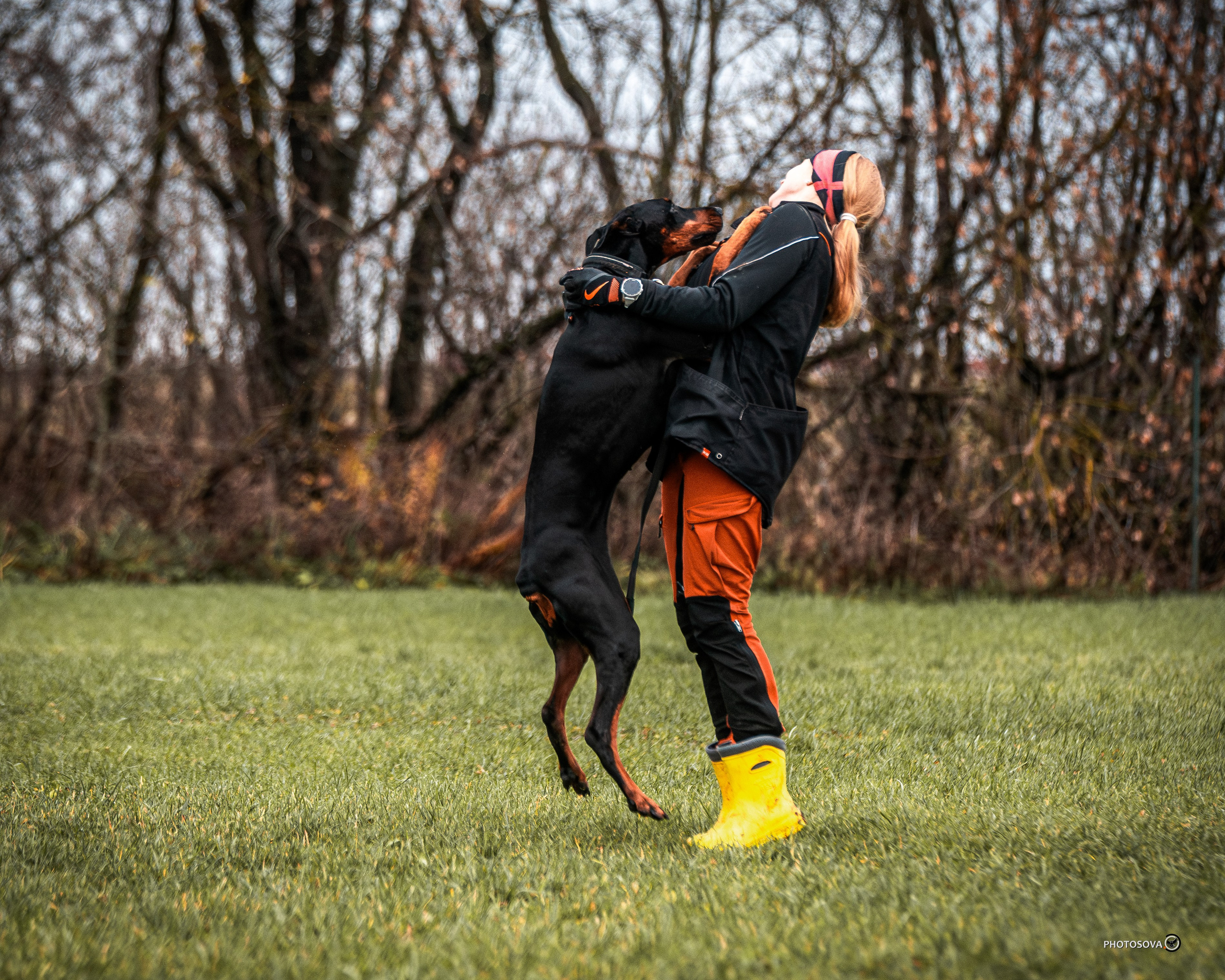 МЫ — КОМАНДА (соревнования) OKD, BH, IBGH, IGP. Фотограф-анималист, семейный фотограф в Москве и Подмосковье. Фотосъёмка кинологических дисциплин