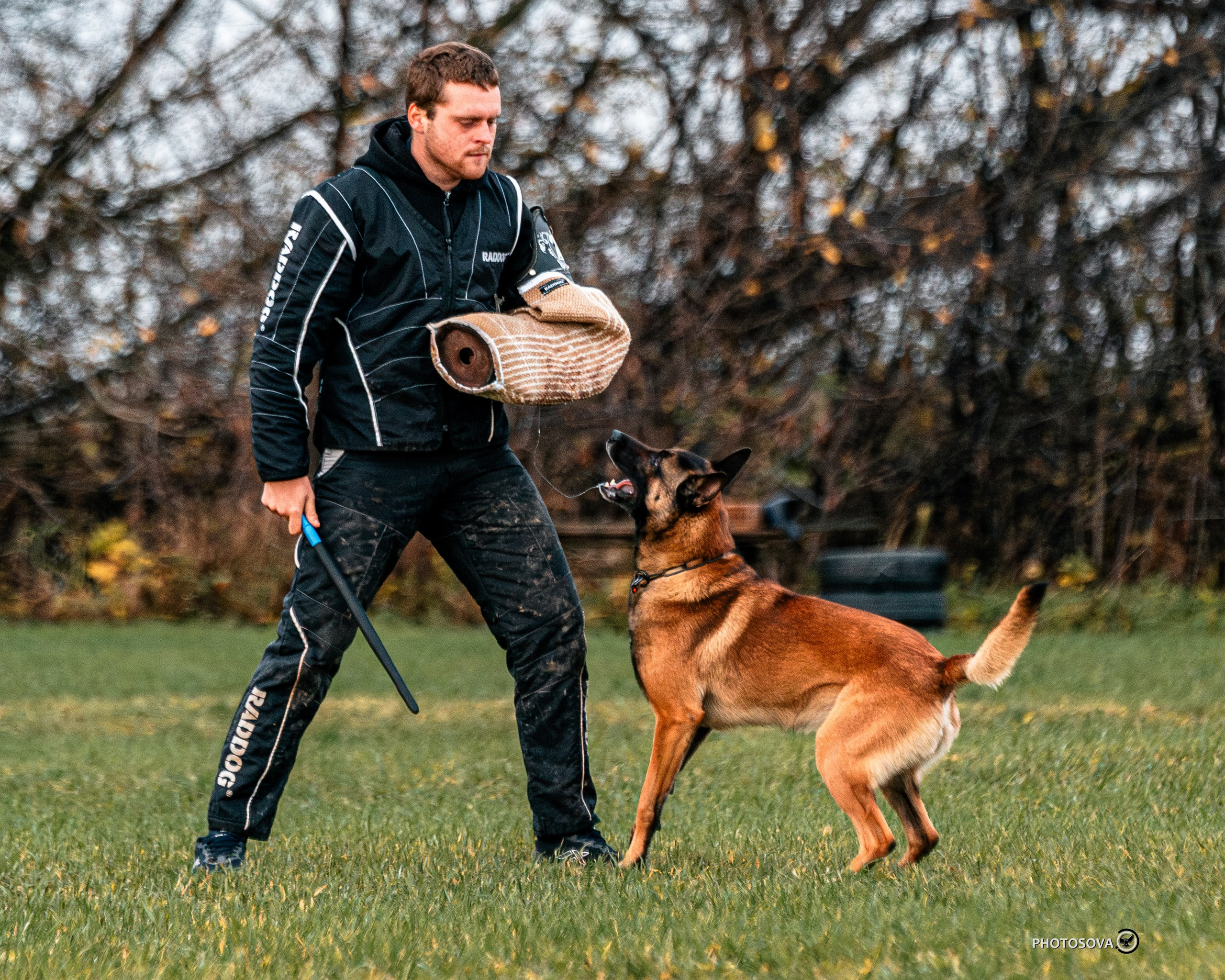 МЫ — КОМАНДА (соревнования) OKD, BH, IBGH, IGP. Фотограф-анималист, семейный фотограф в Москве и Подмосковье. Фотосъёмка кинологических дисциплин