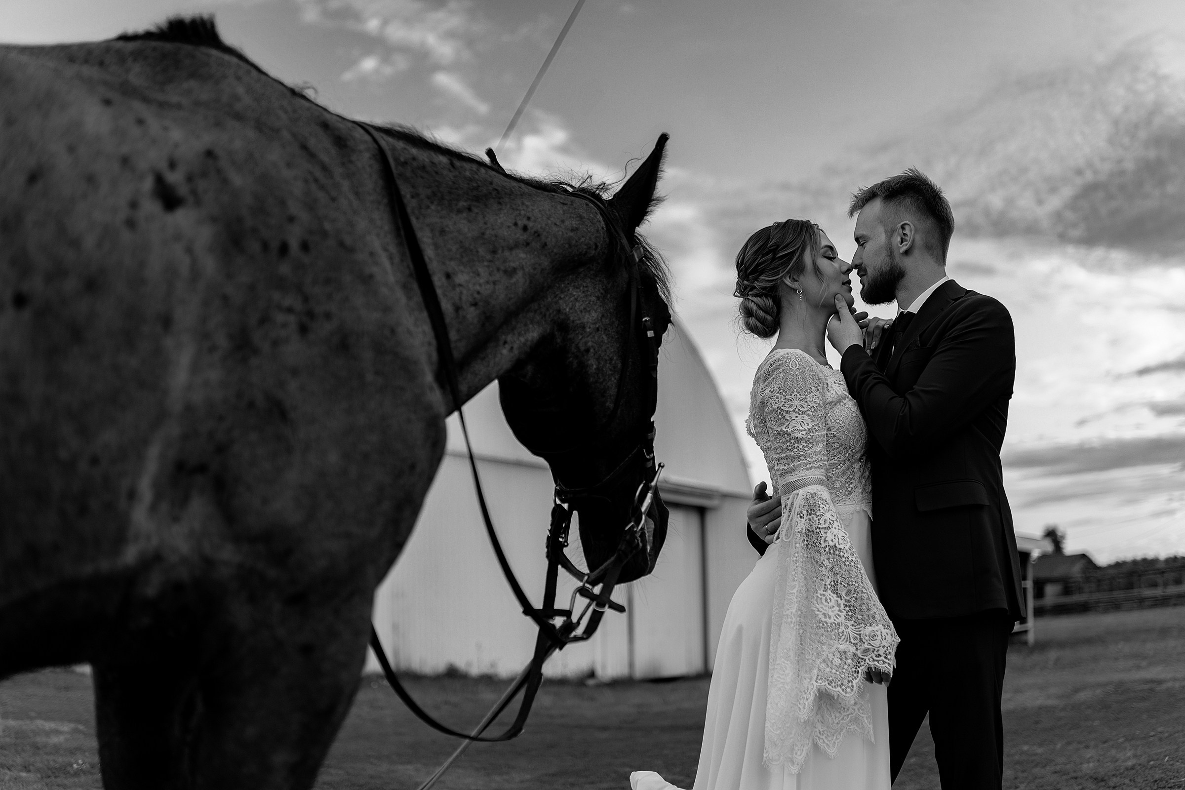 Станислав & Дарья. Дмитрий Позняк — свадебный фотограф в Брянске. Личный сайт фотографа