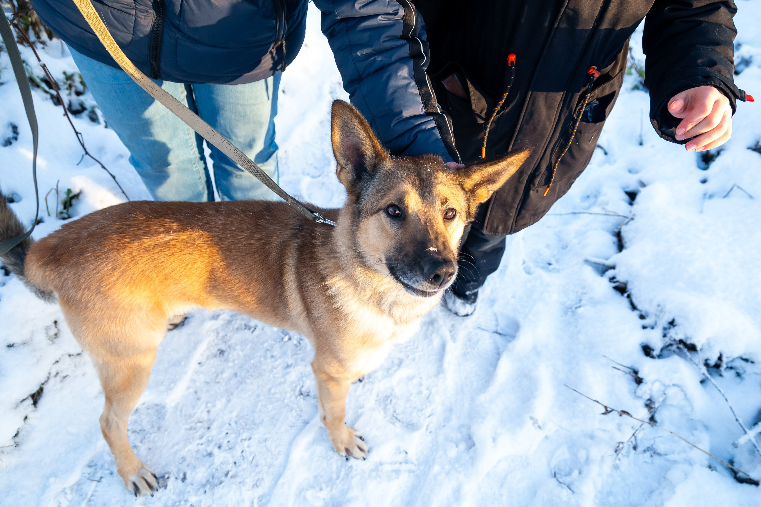 Petshop Забота. Фотограф в Санкт-Петербурге Чумаков Семен
