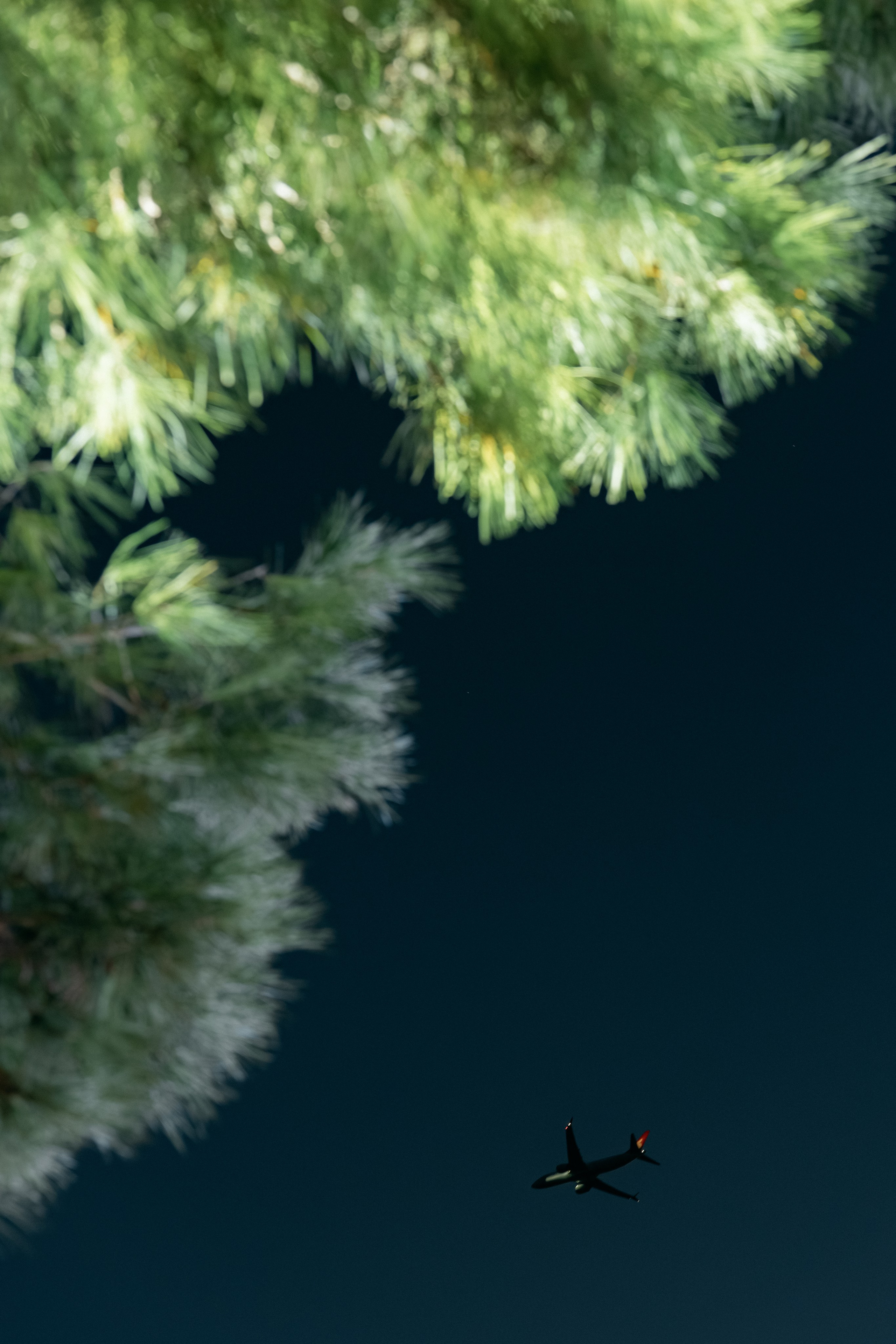 Once in October. Wedding & Documentary Photographer based in Nuremberg — available across Europe & Turkey | Vitalii Nasonov