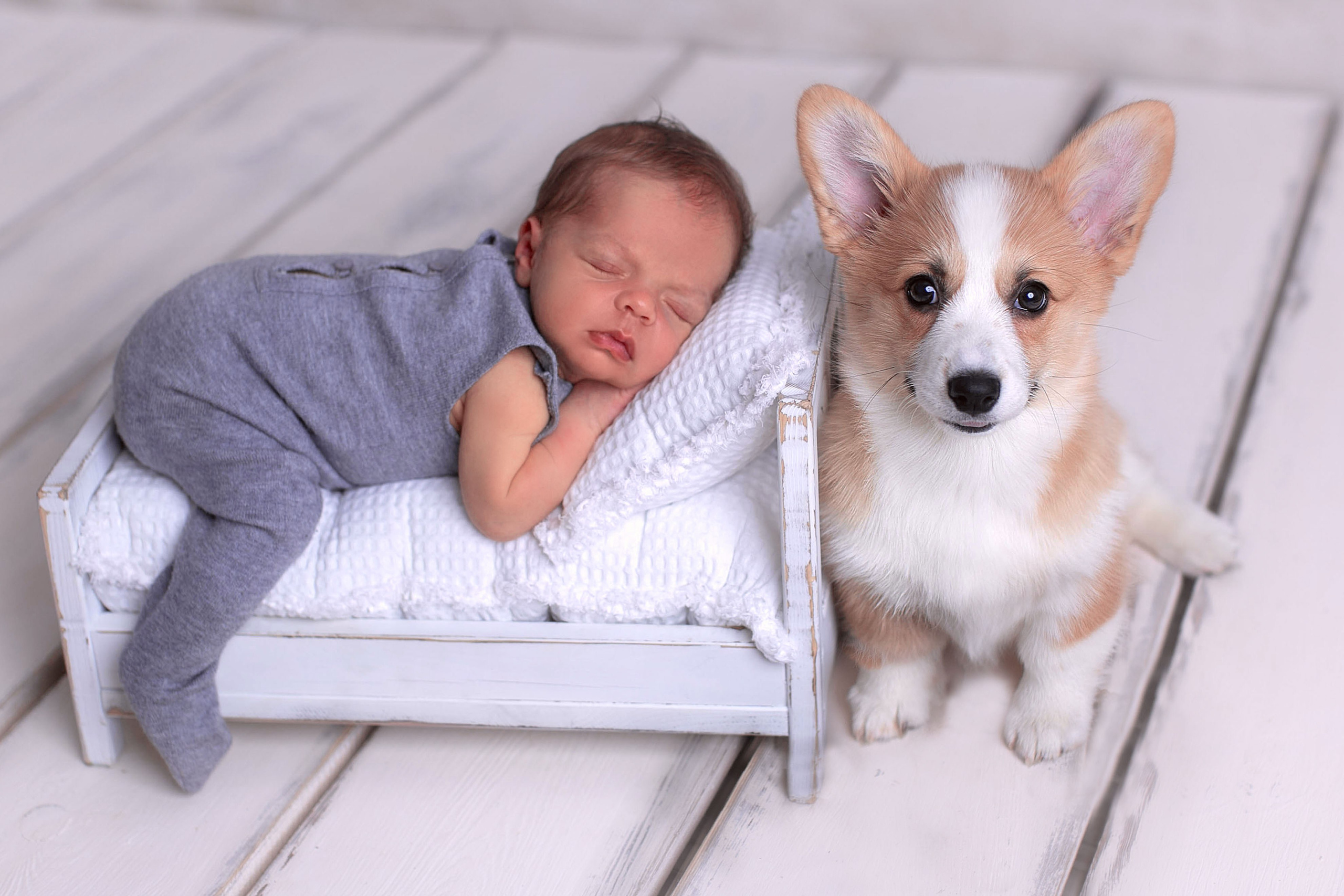 Съемка новорожденных. Фотограф новорожденных