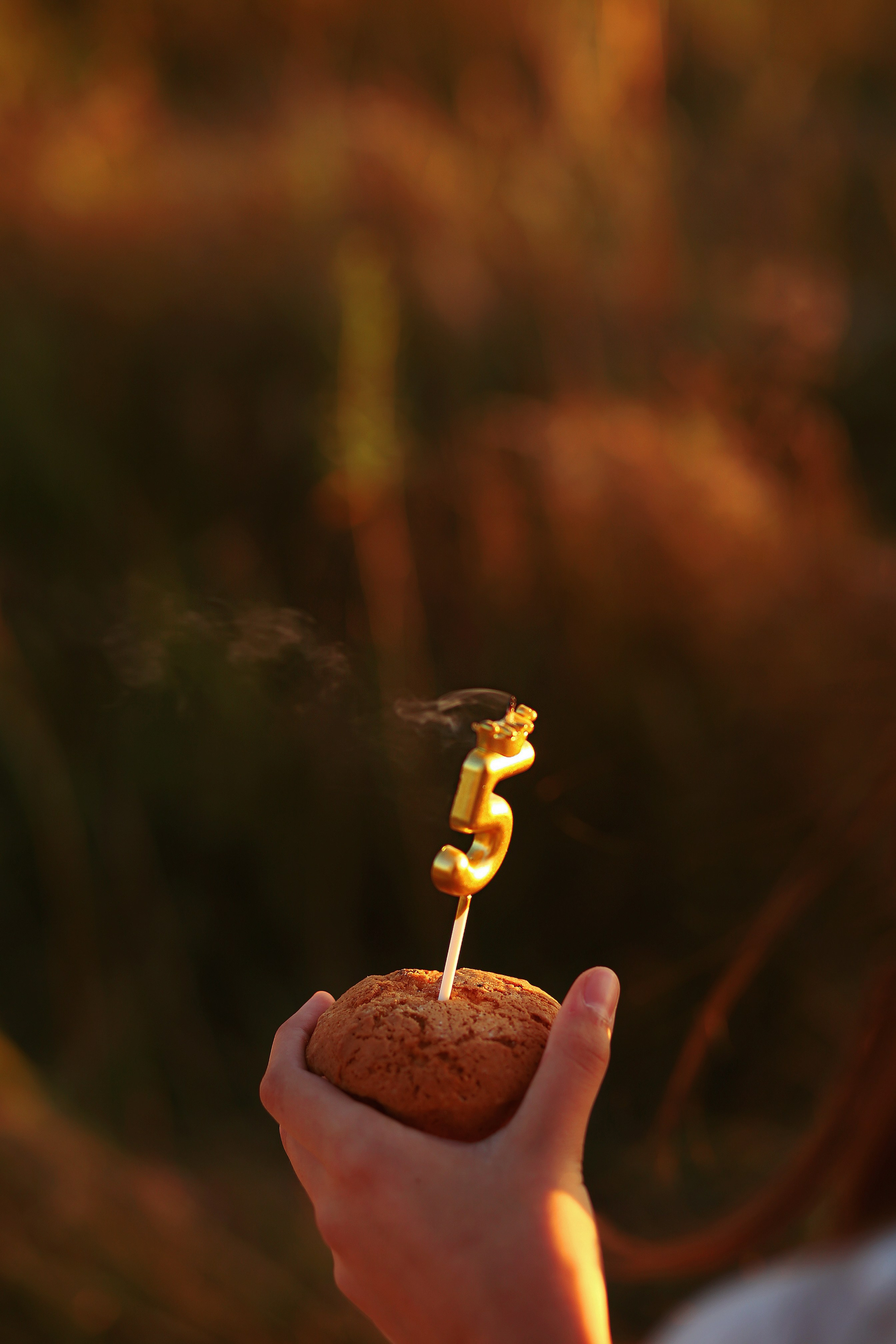 ТЕПЛЫЙ ВЕЧЕР. Свадебный, репортажный, фотограф Москва и Московская область