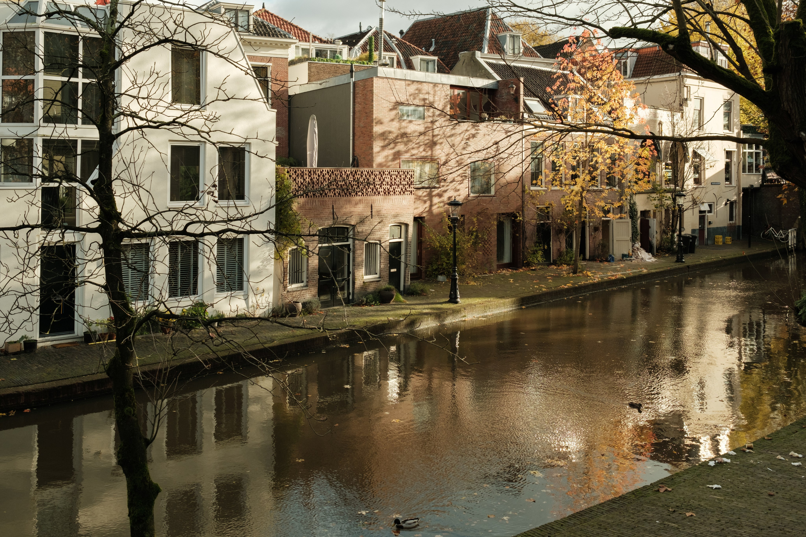 Фотографии Нидерландов | Филипп Линзин. Репортажный и портретный фотограф в Санкт-Петербурге Филипп Линзин