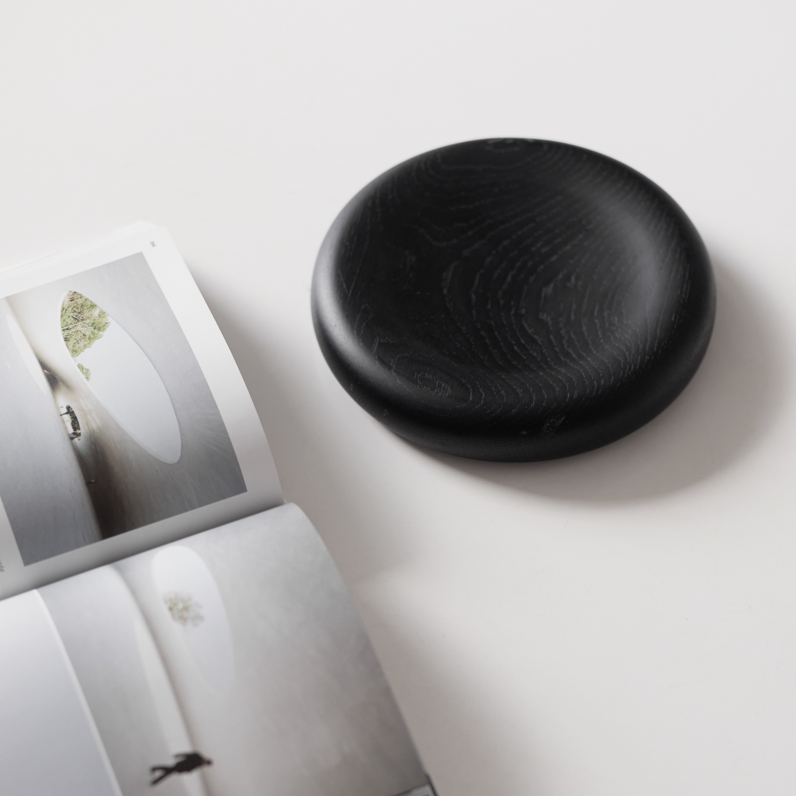 PODNOS. SHONGIN SERGEI