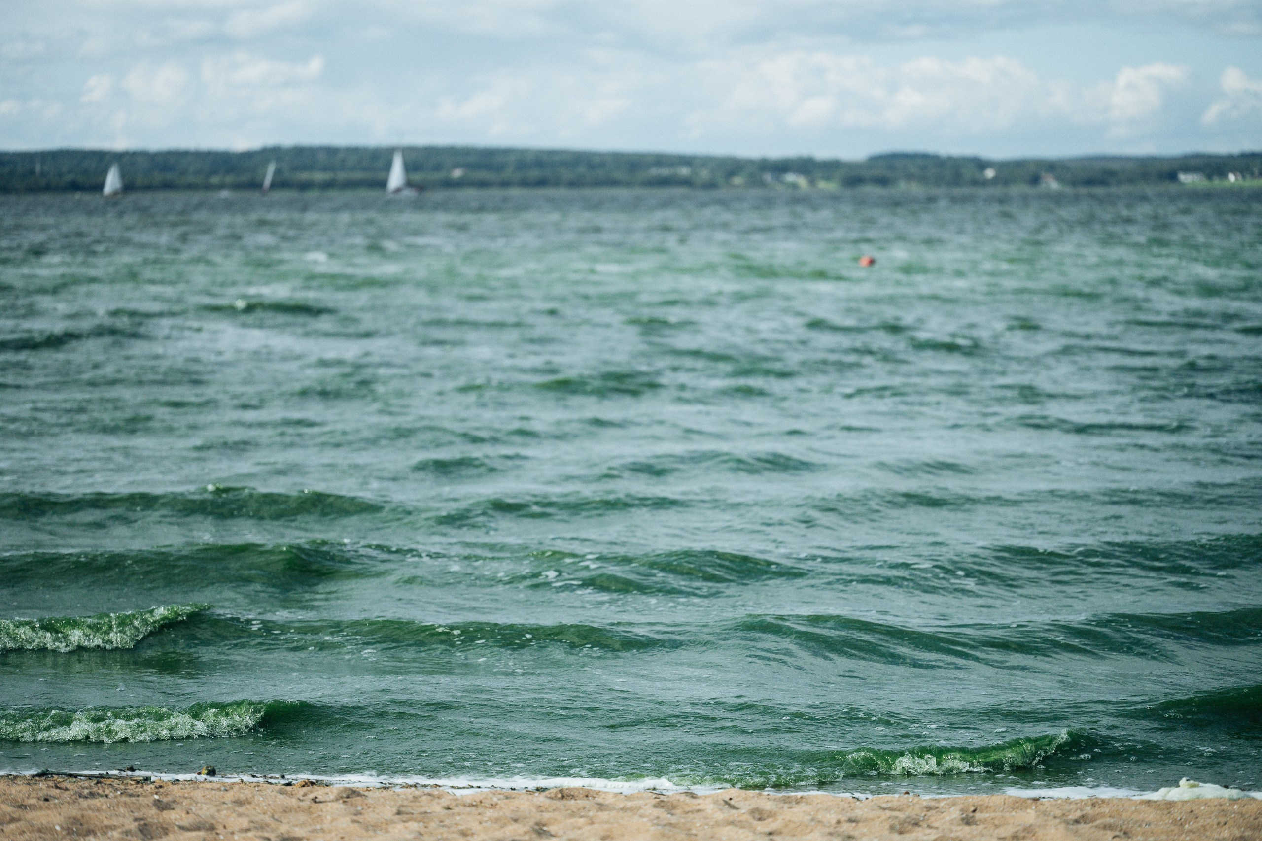 Встреча на Минском море (@bachata_minsk). Фотограф/видеомейкер в Минске, Москве, Витебске, видеосьемка