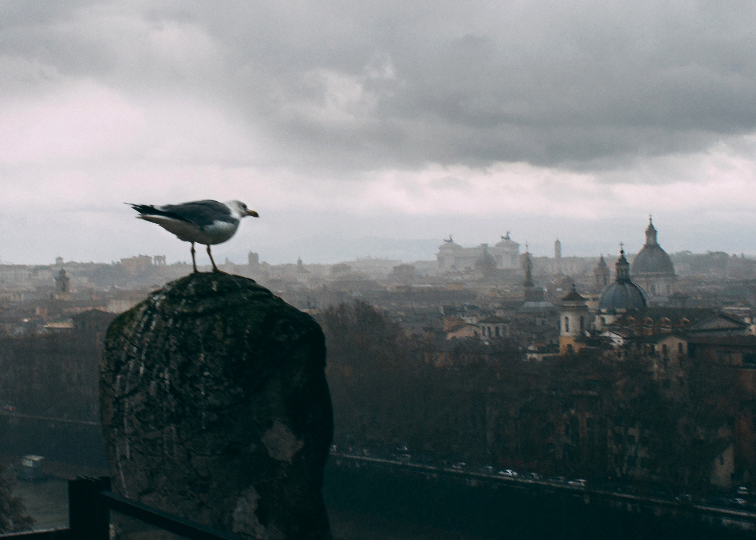 Вид на Рим с Сант Анджело