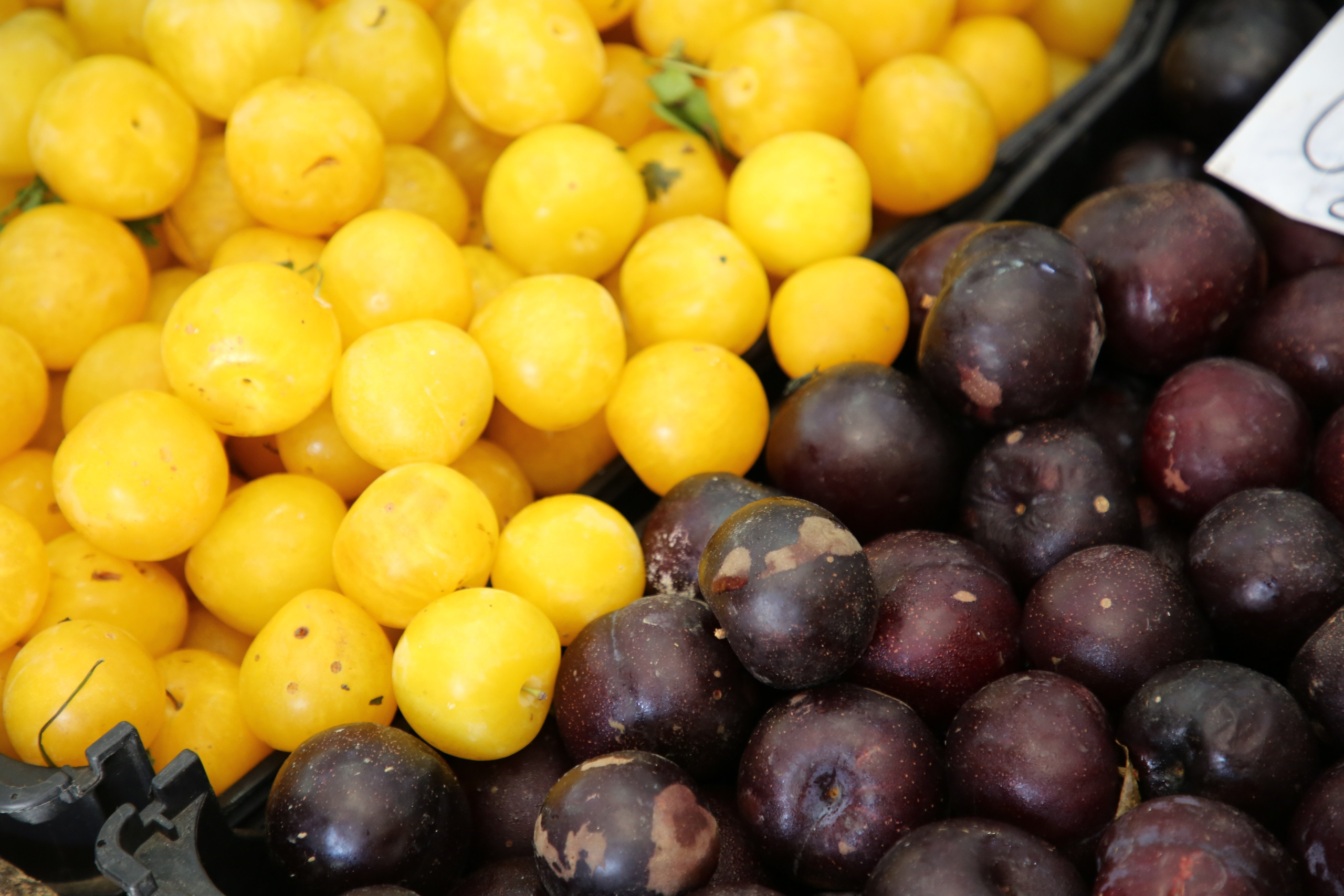 Lisbon, Portugal. Andrey Filippov Photographer