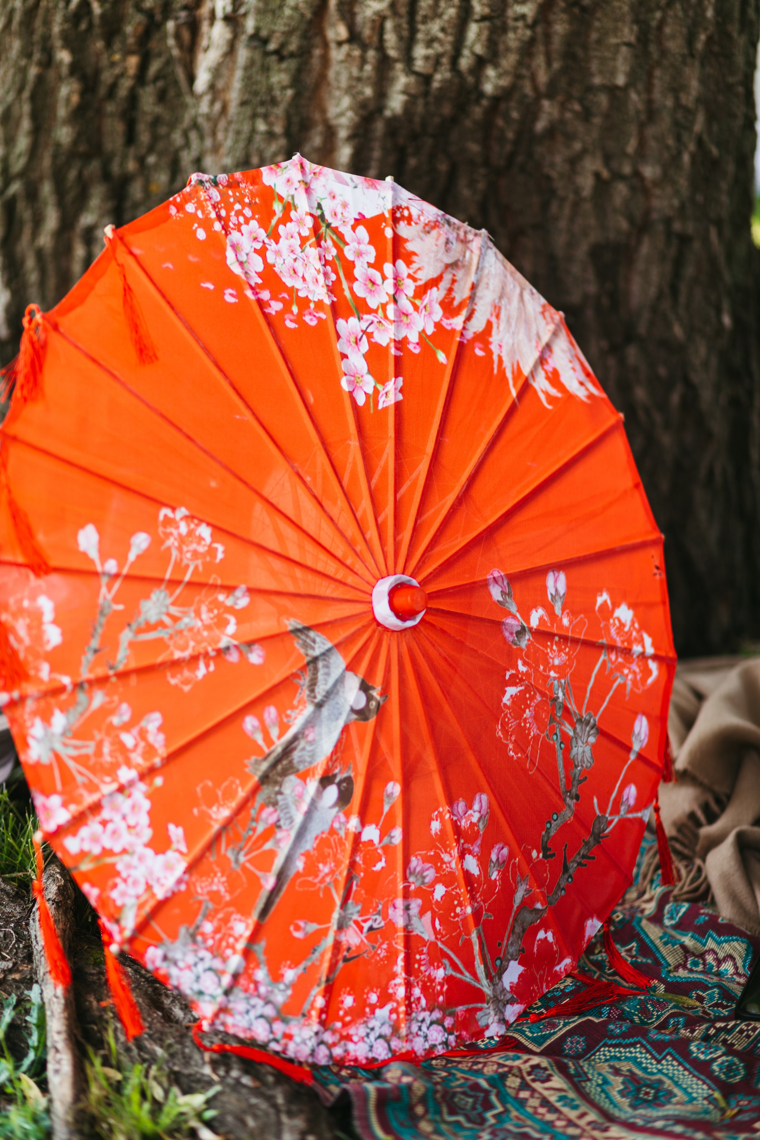 DDX. Елизавета Федотова | фэшн-фотограф