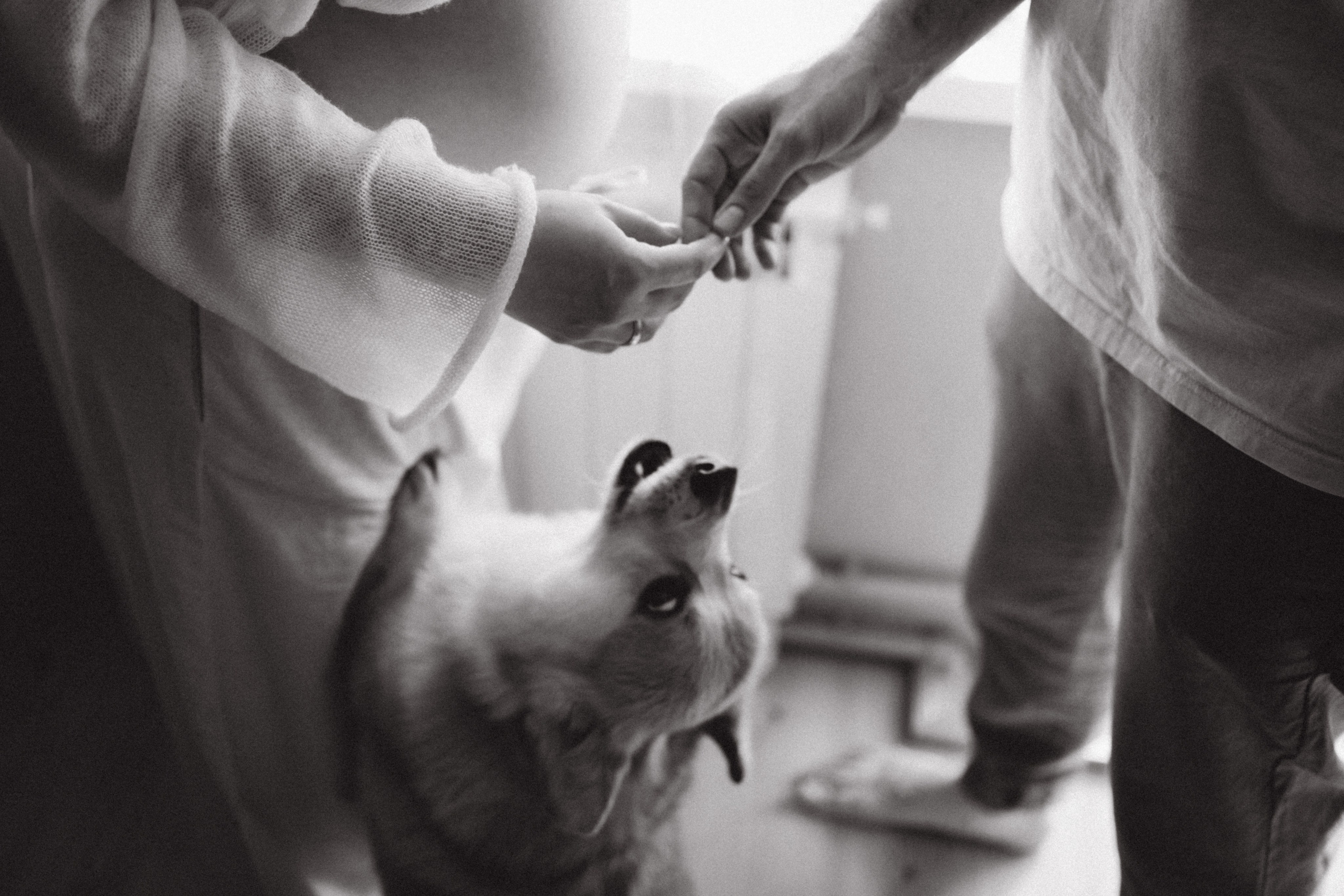 Фотосессия беременности в Москве. Семейный фотограф в Москве и Люберцах Юлия Гуськова