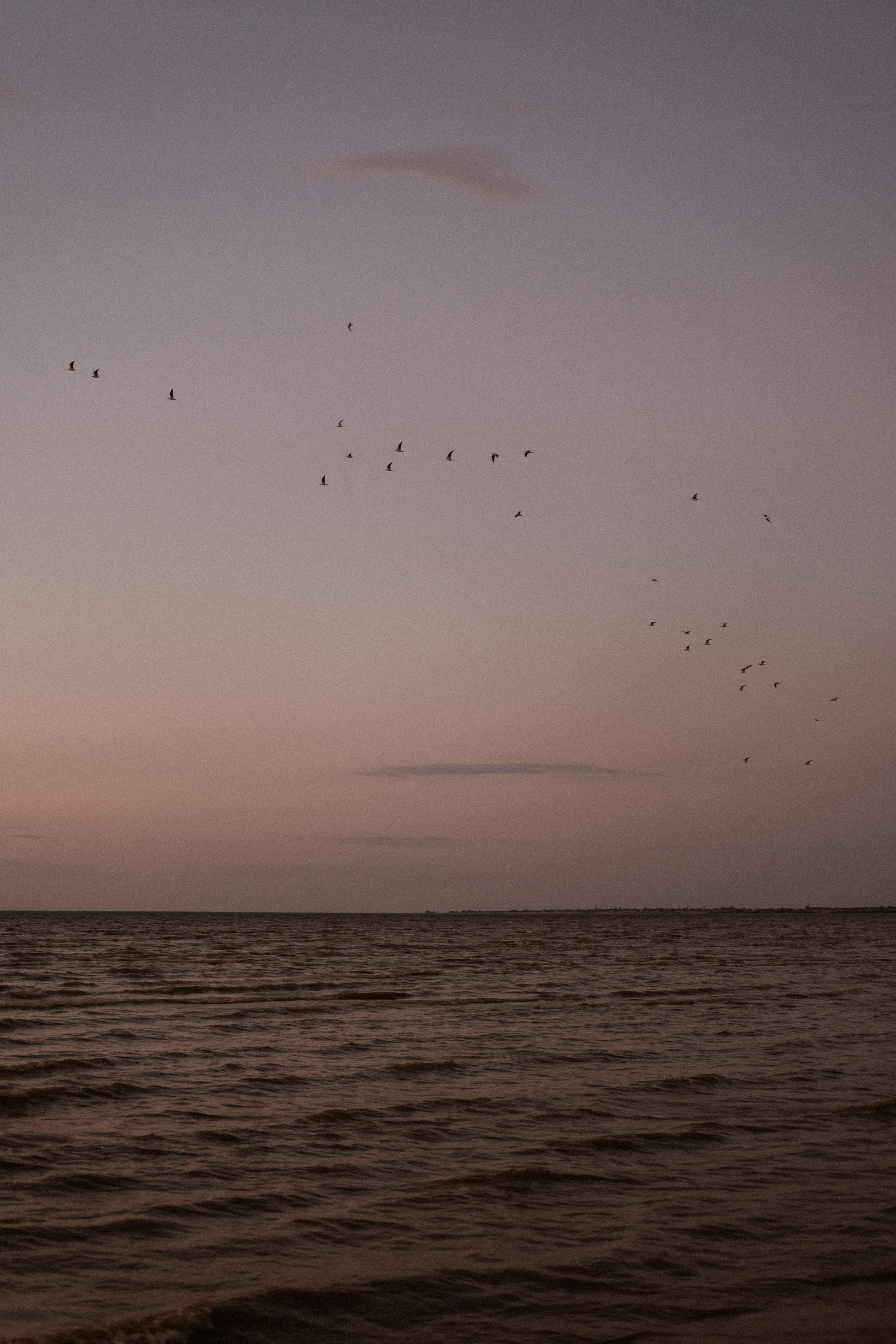 Настя + Вова + Ярик. Анна Гусарова свадебный фотограф в Волгограде