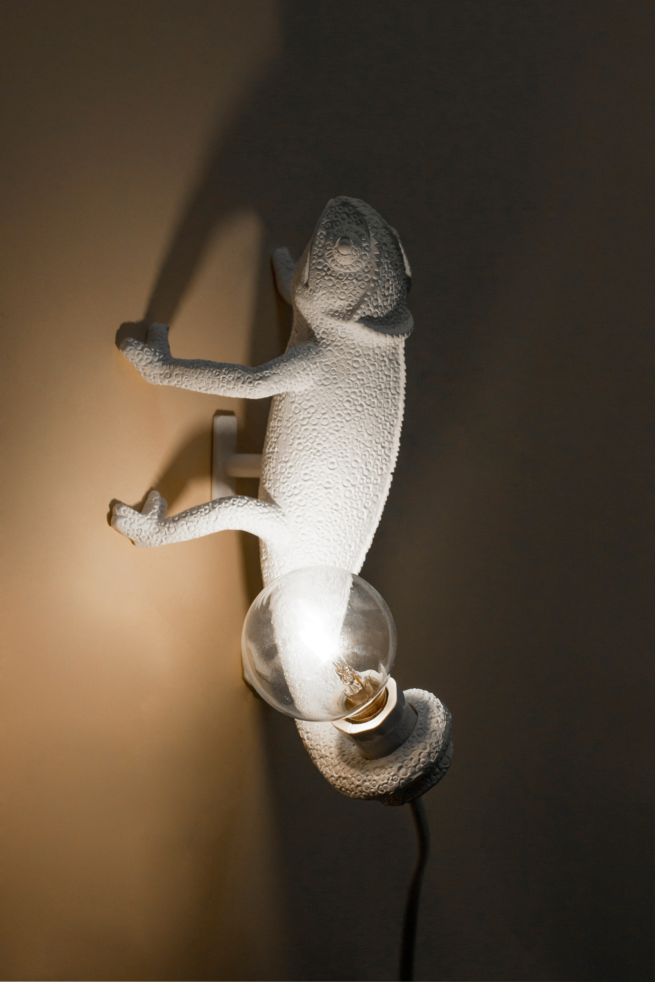 Предметная фотография. Фотограф Злата Спицына