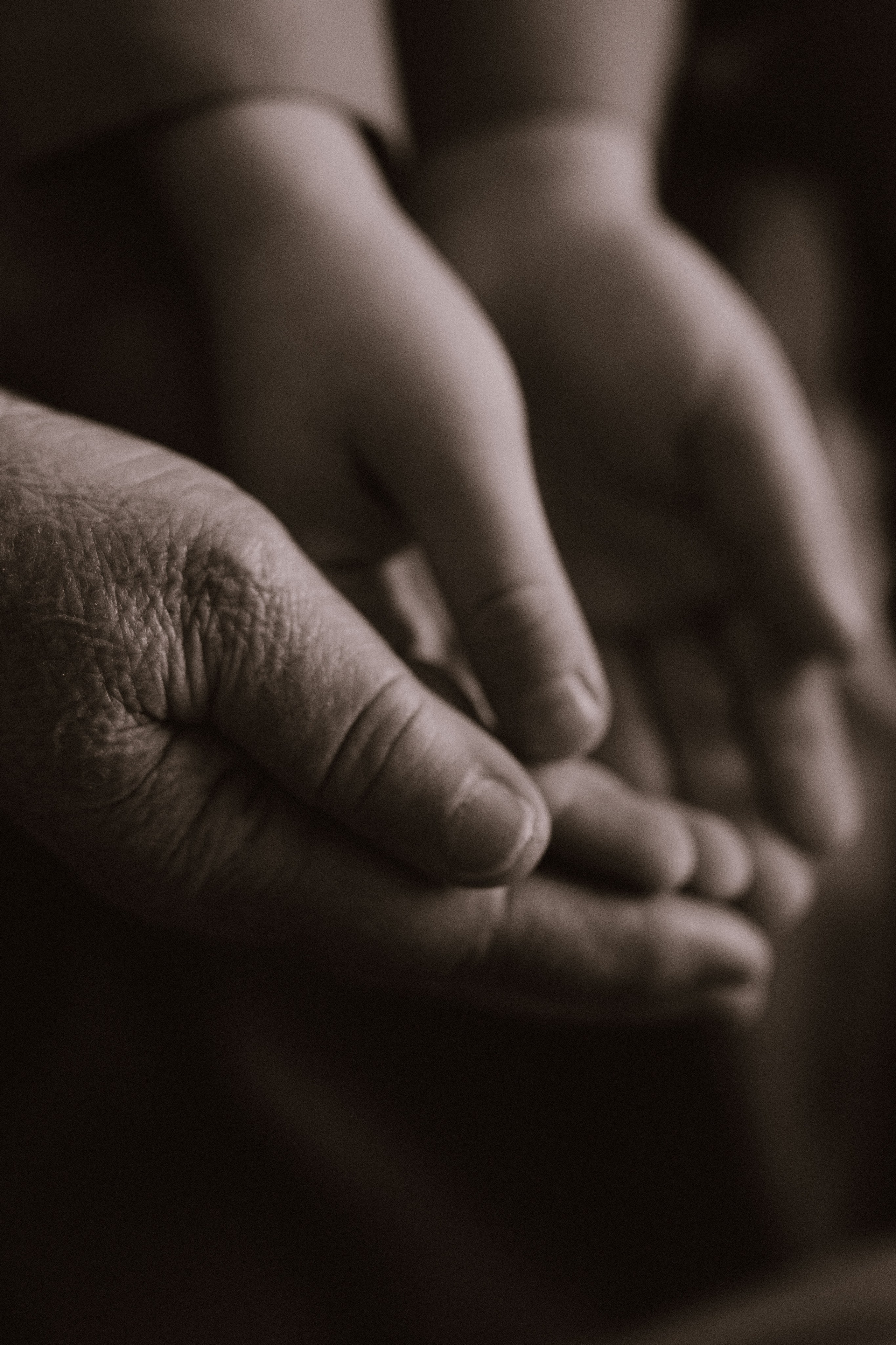 Поколение. Фотограф в Ставрополе Svetlana Matveeva