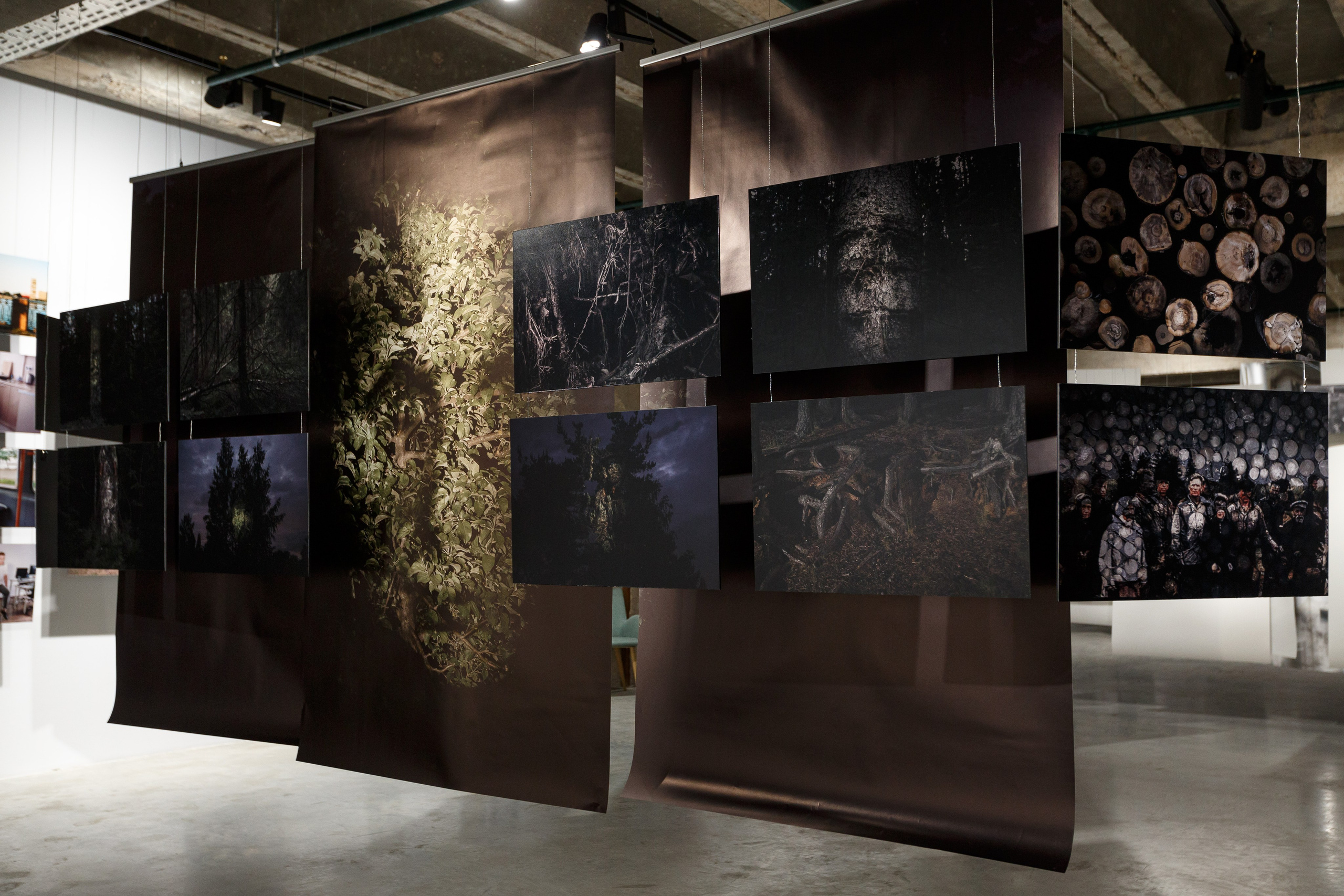 Ирек Шаманаев — фотограф и художник