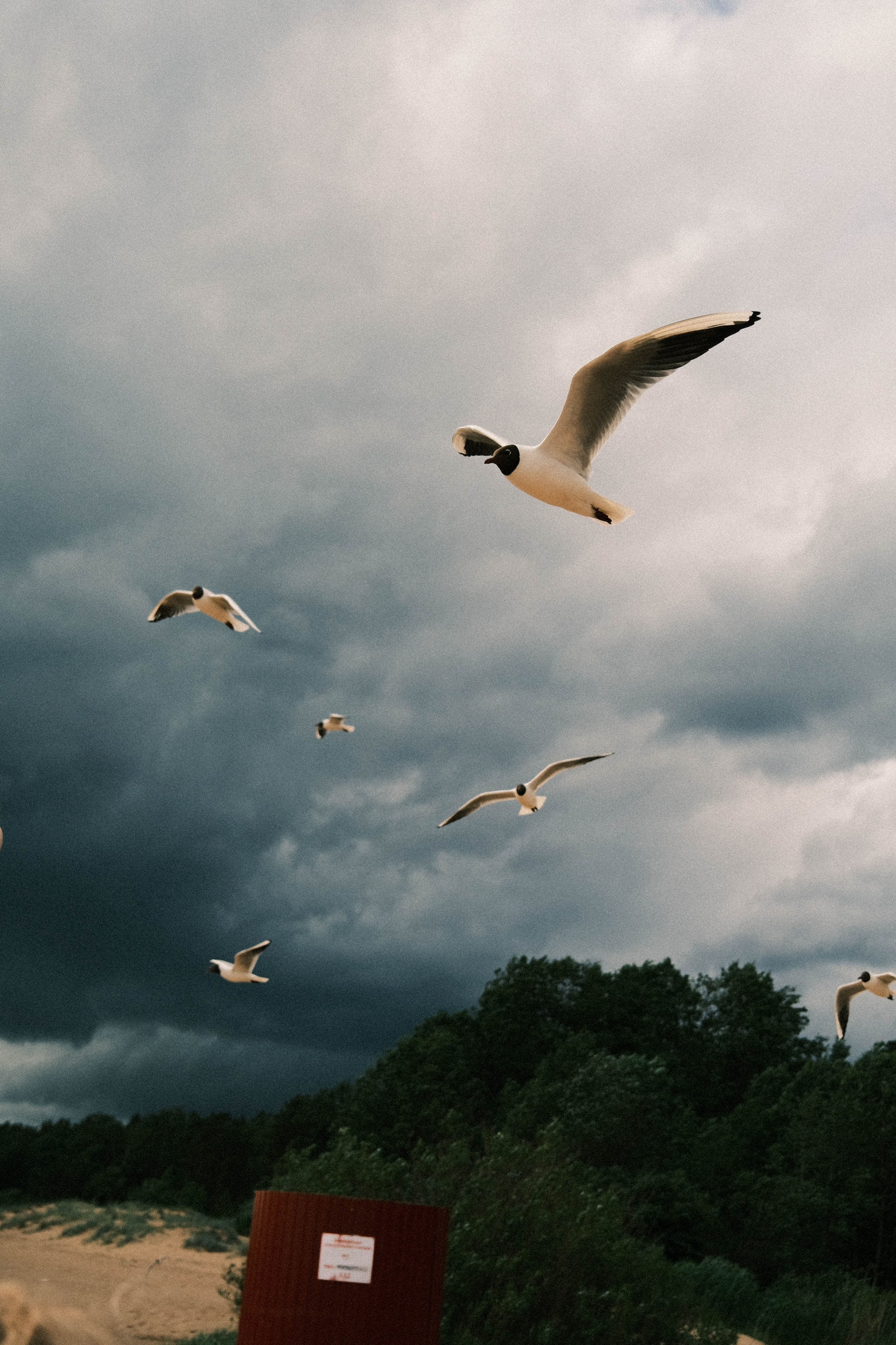 Maria Sineva, photographer